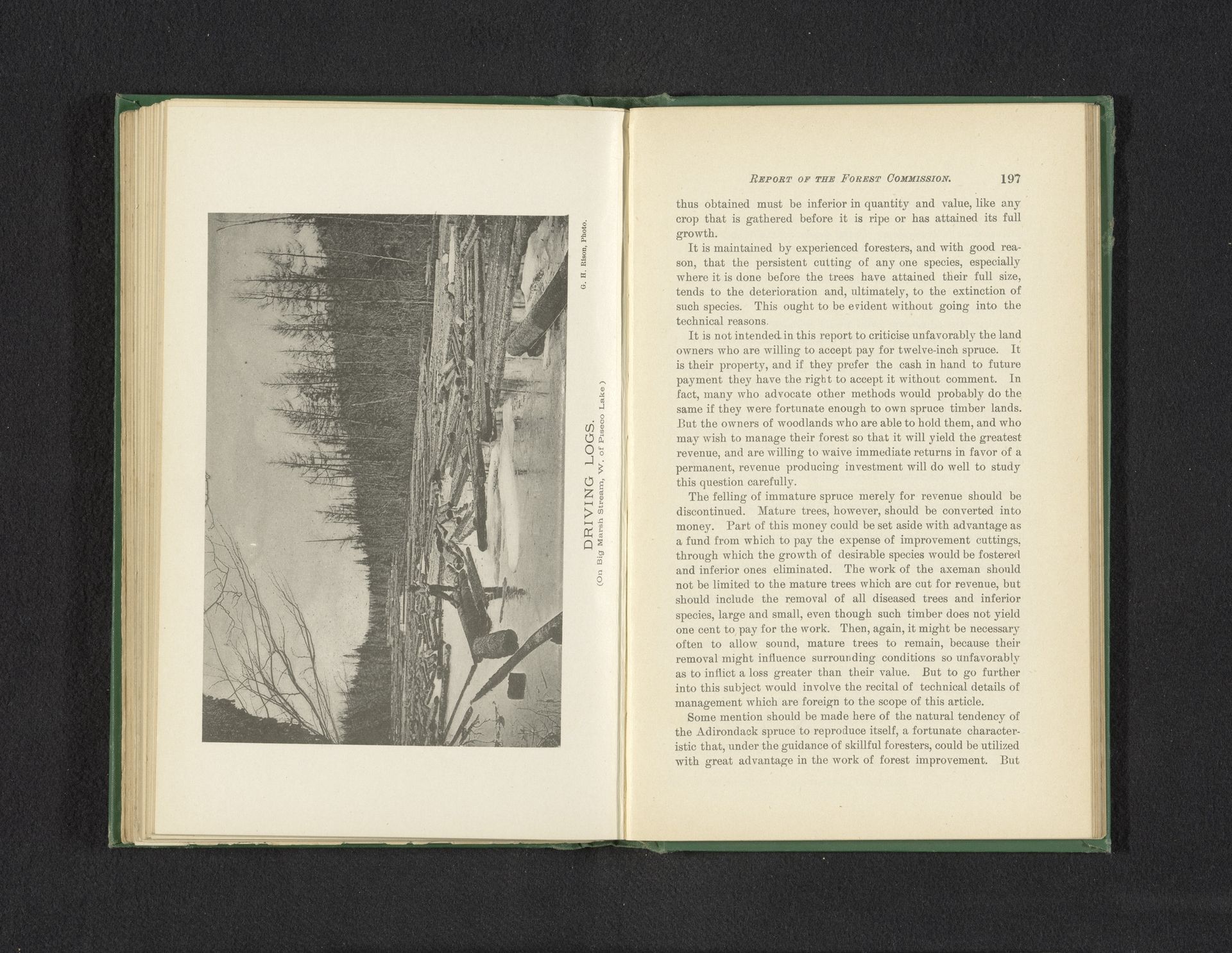 Driving logs by G.H. Rison