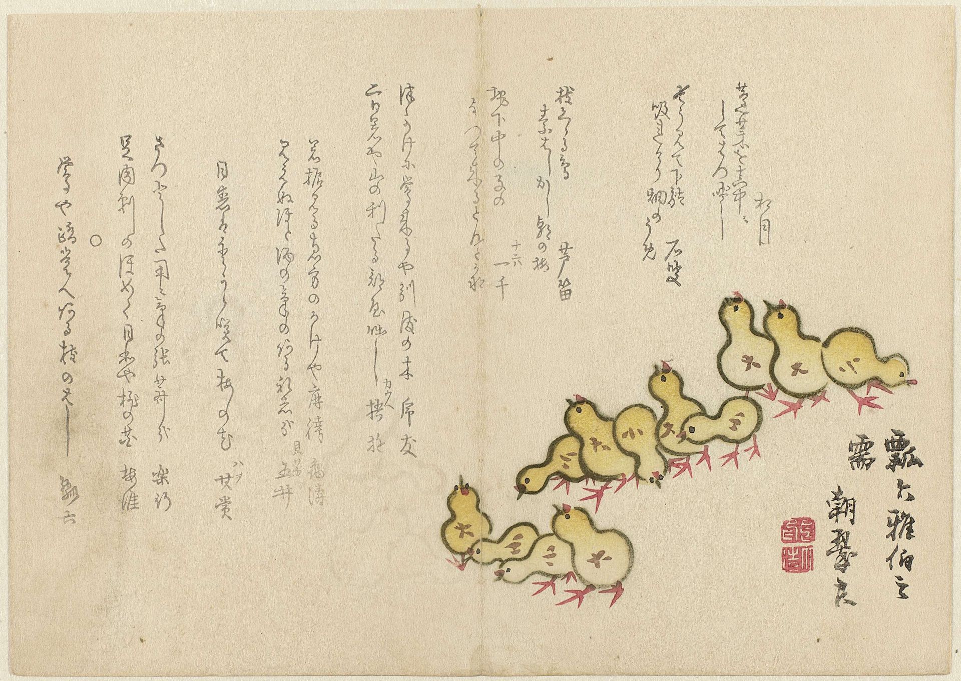 Kuikens by Chôsui