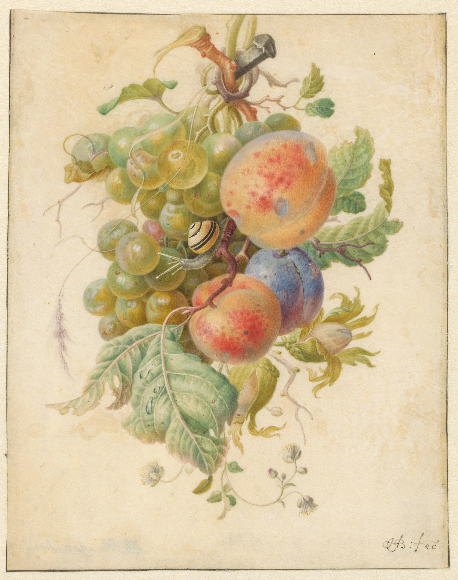 Festoen van vruchten by Herman Henstenburgh