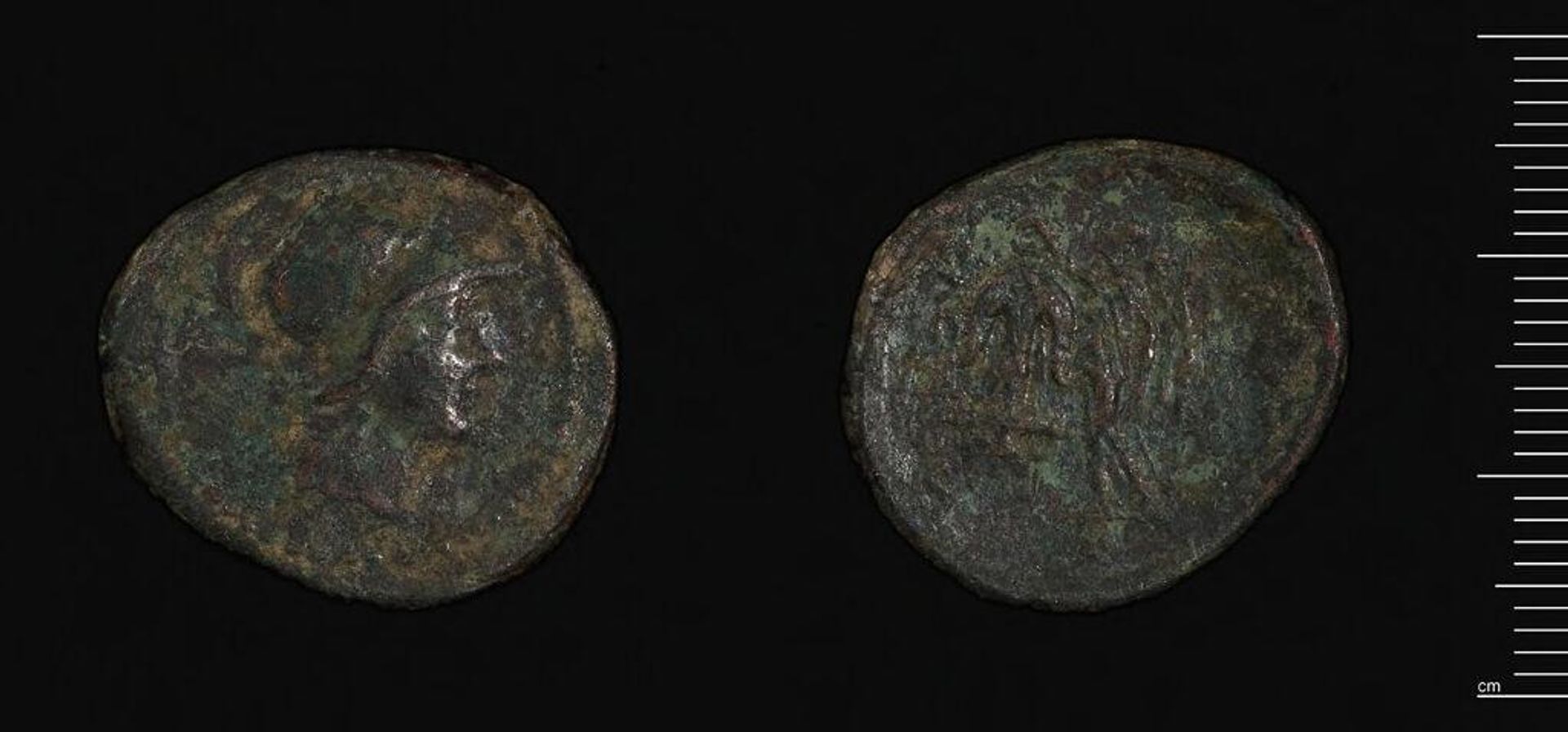 AE Seleukos II, Syria by Seleukos II