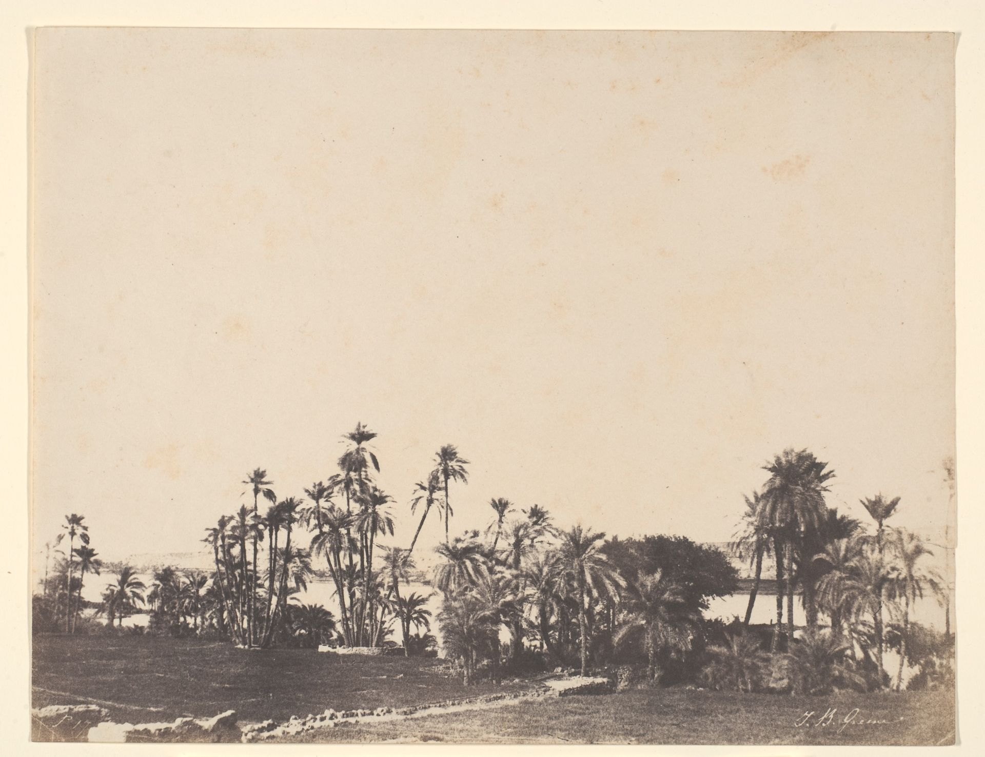 Etude de Palmiers, Bords du Nil, Kalabschi by John Beasley Greene