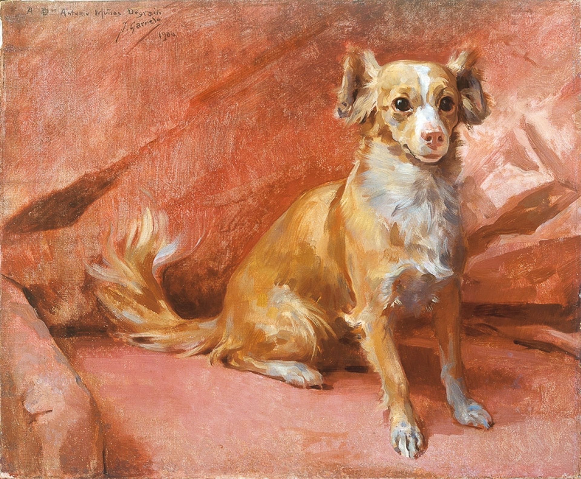 El Perro del Pintor by José Garnelo