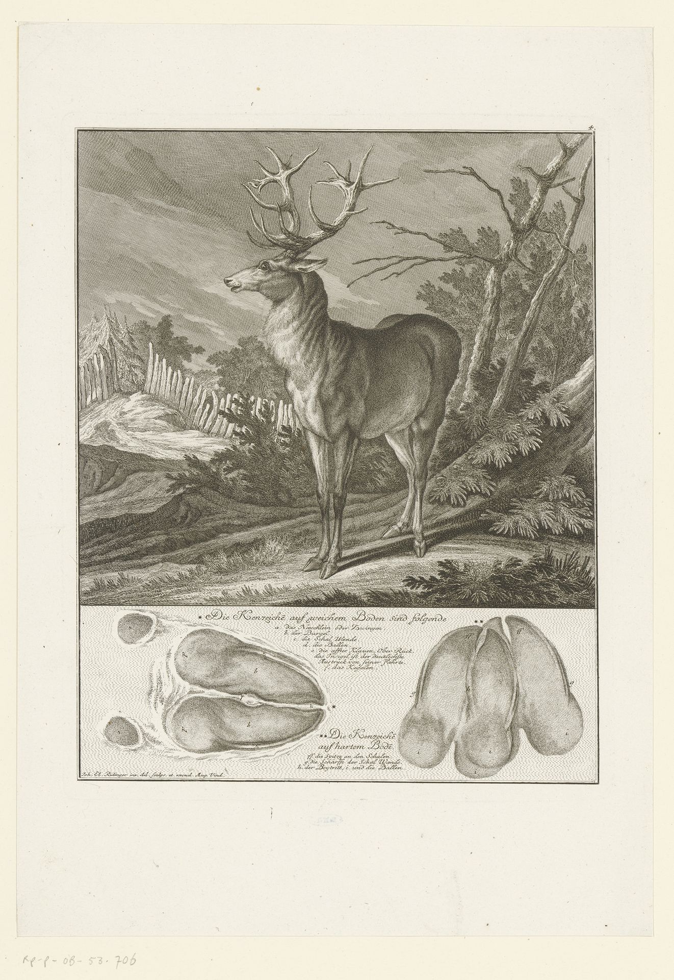 Hert met spoor by Johann Elias Ridinger