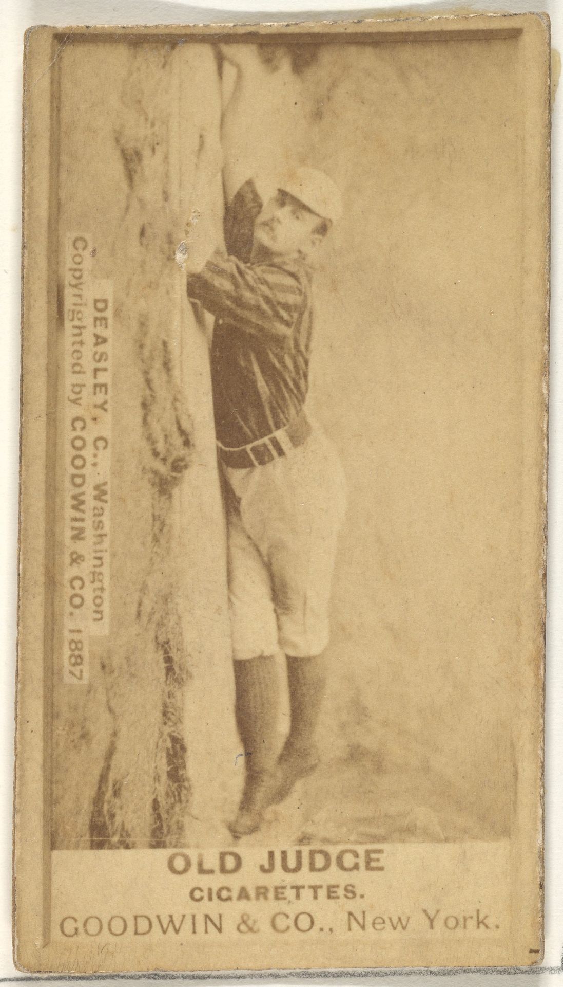 Patrick "Pat" E. Dealy, Catcher, Washington Nationals, from the Old Judge series (N172) for Old Judge Cigarettes by Goodwin & Company