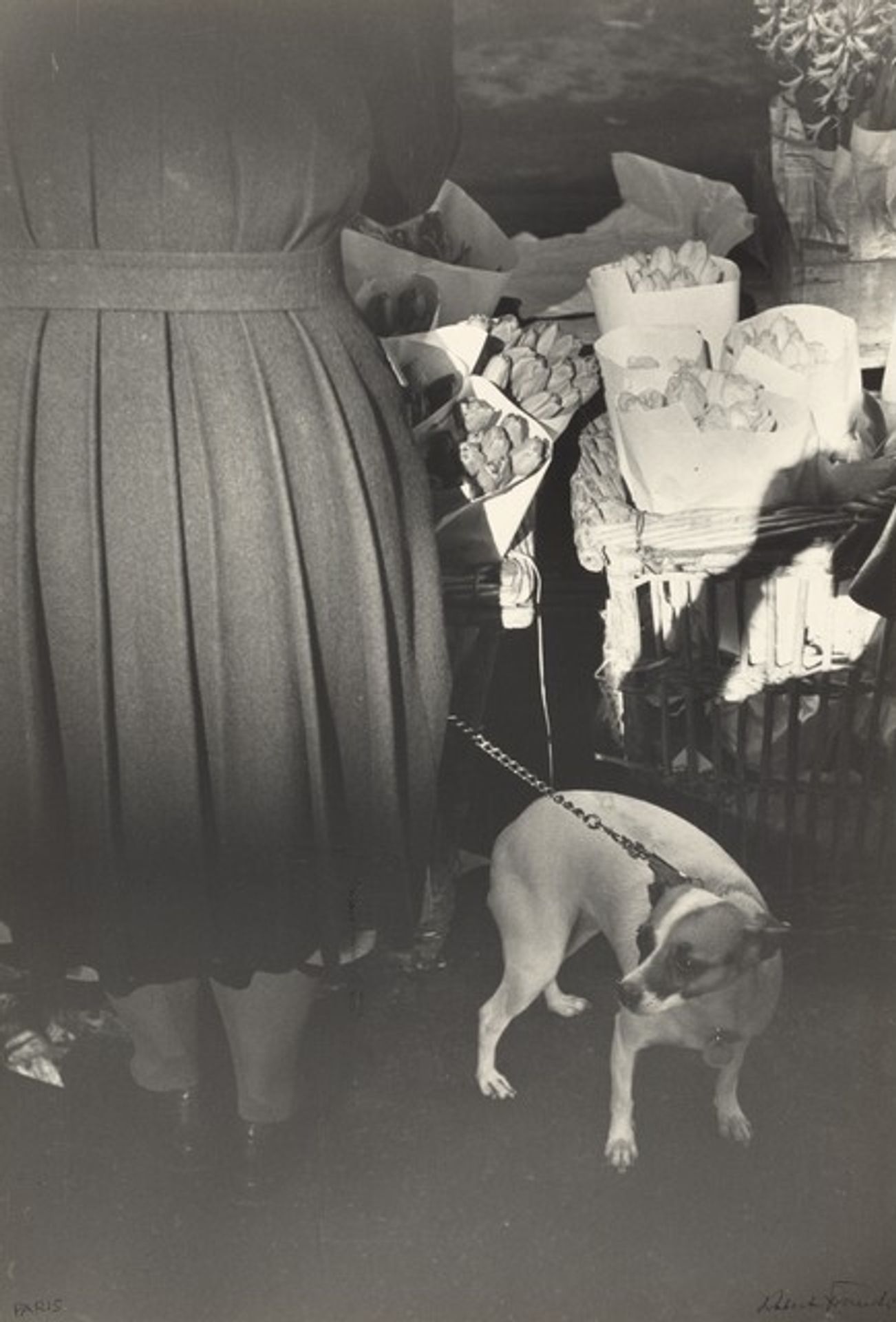 Le chien l'Andalou by Robert Frank