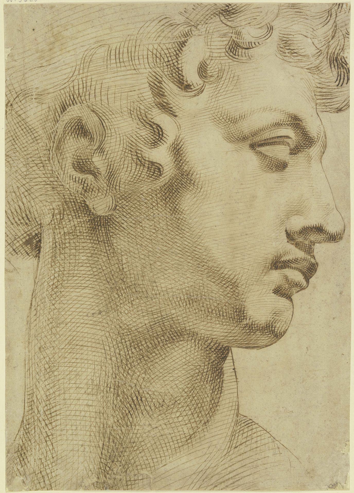 Studie nach dem Kopf von Michelangelos _Giuliano de' Medici_ by Baccio Bandinelli