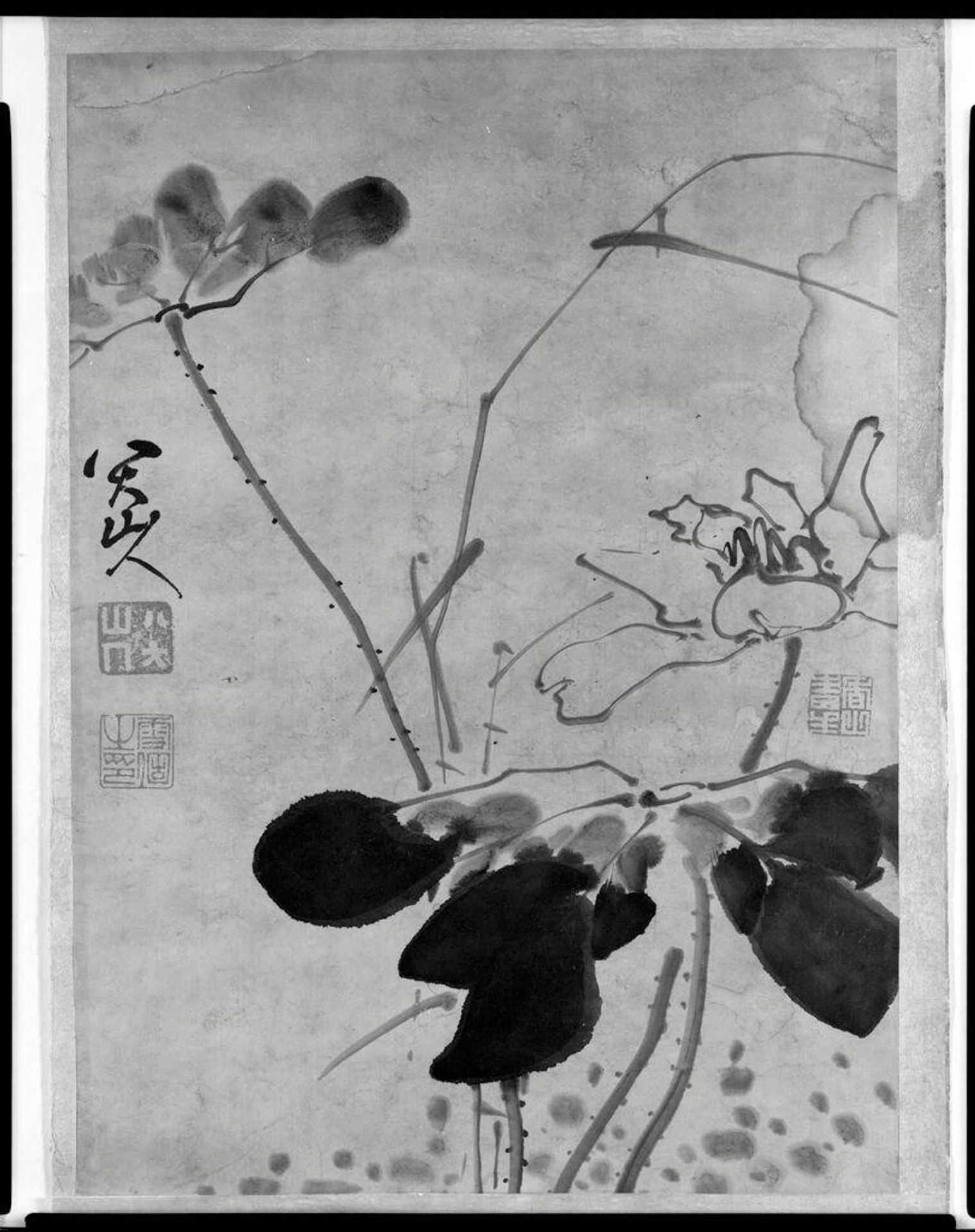 SUMI ALBUM LEAF OF THREE LOTUS FLOWERS by Bada Shanren