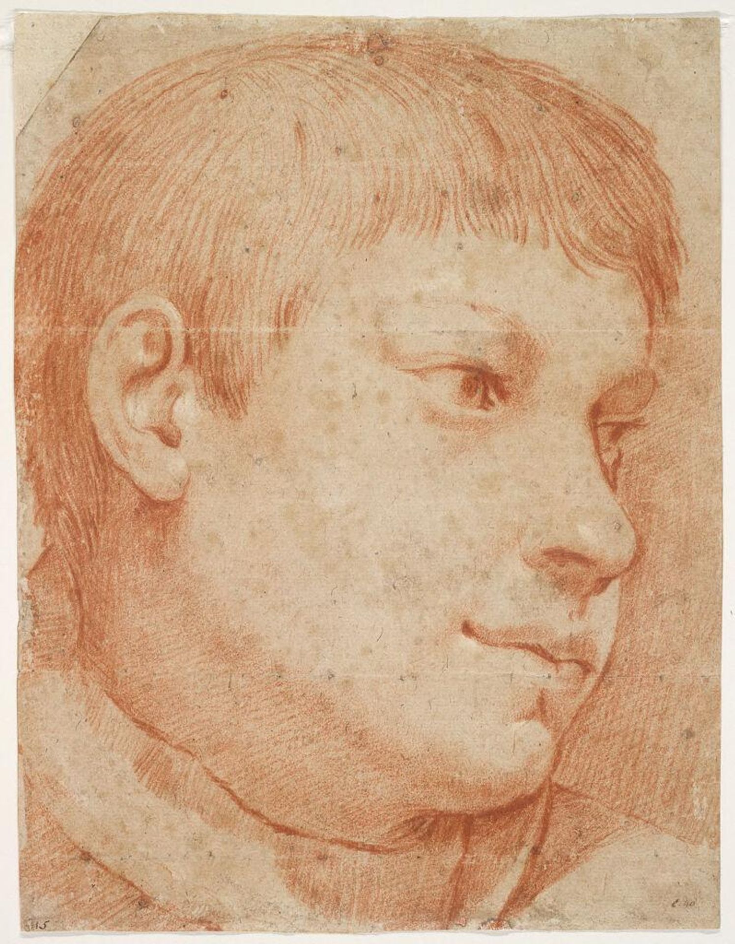 The Head of a Boy; verso: Foreshortened Head and Torso by Annibale Carracci