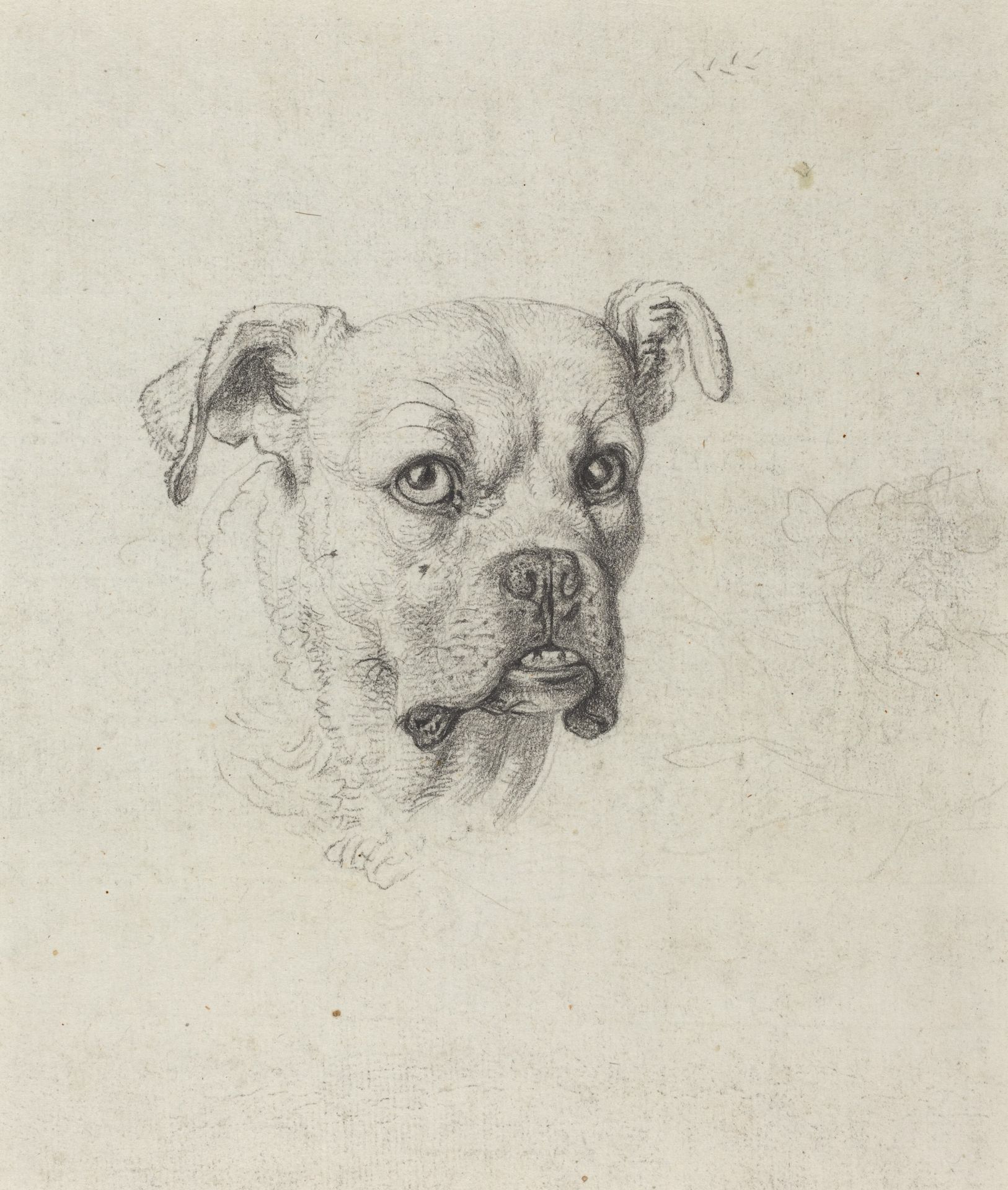 A Boxer by Johann Heinrich Wilhelm Tischbein