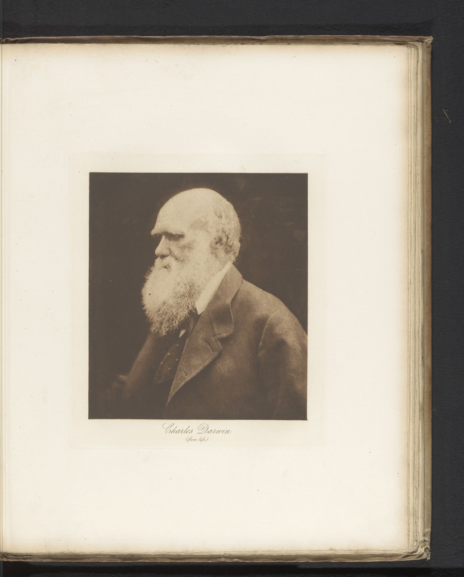 Portret van Charles Darwin by Julia Margaret Cameron