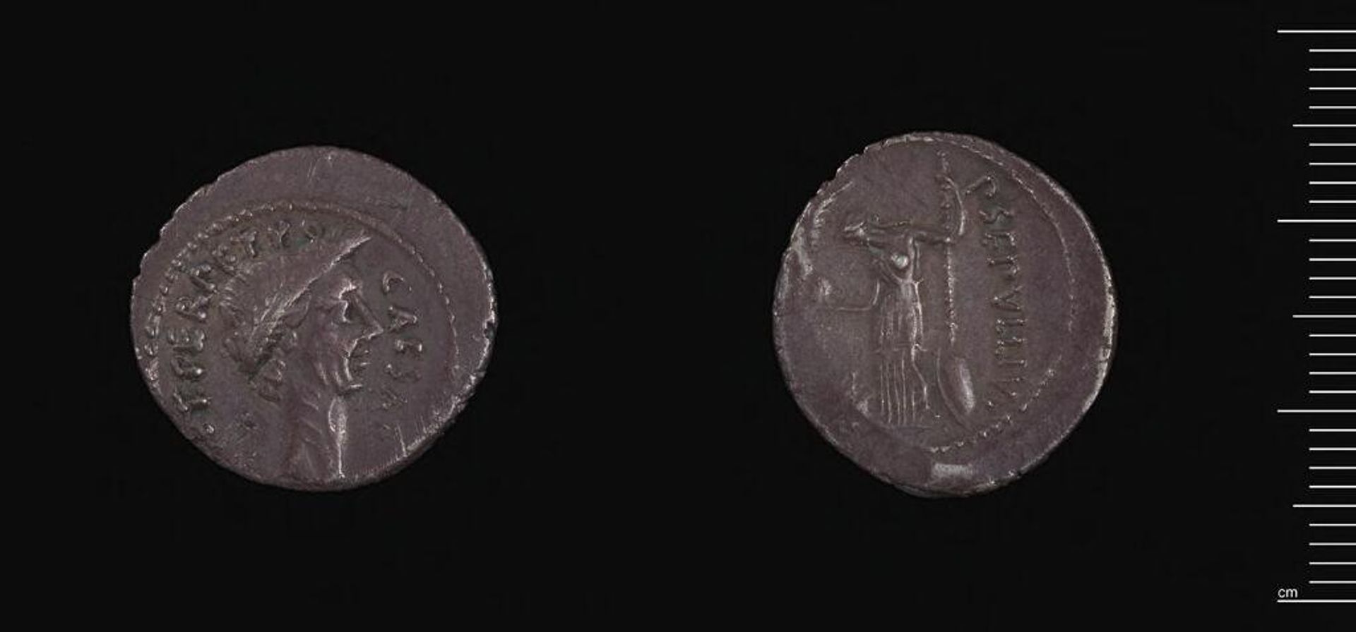 Denarius of P. Sepullius Macer, Rome by Moneyer: P. Sepullius Macer