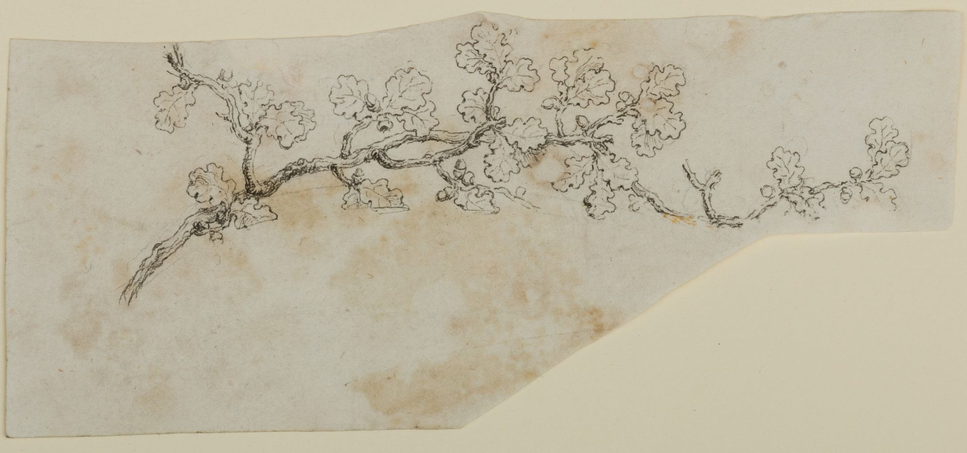 Design for the Decoration of Firearms by Nicolas Noël Boutet