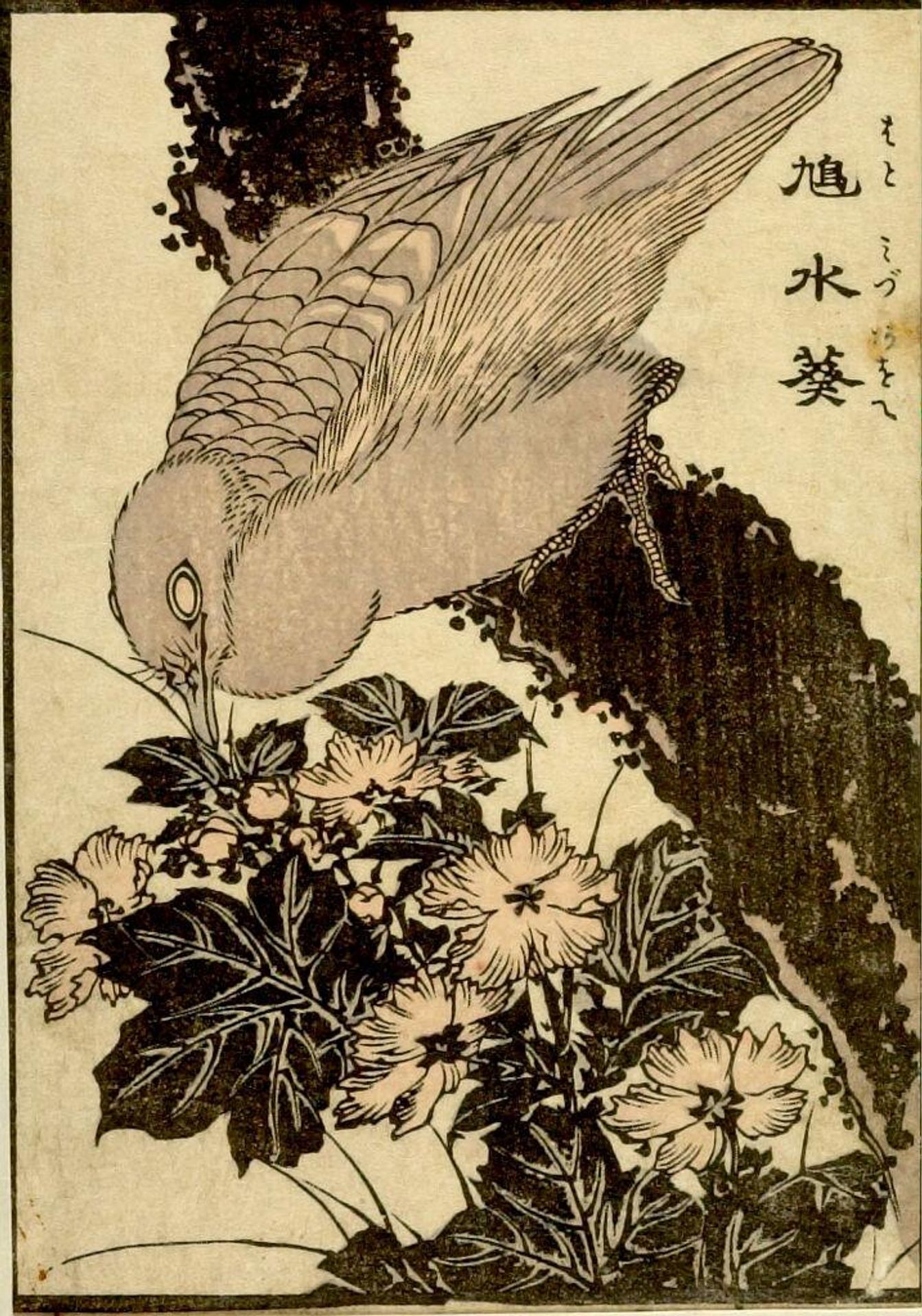 from the illustrated book "KachÅ gaden" by Katsushika Taito II äºä»£èé£¾æ´æ