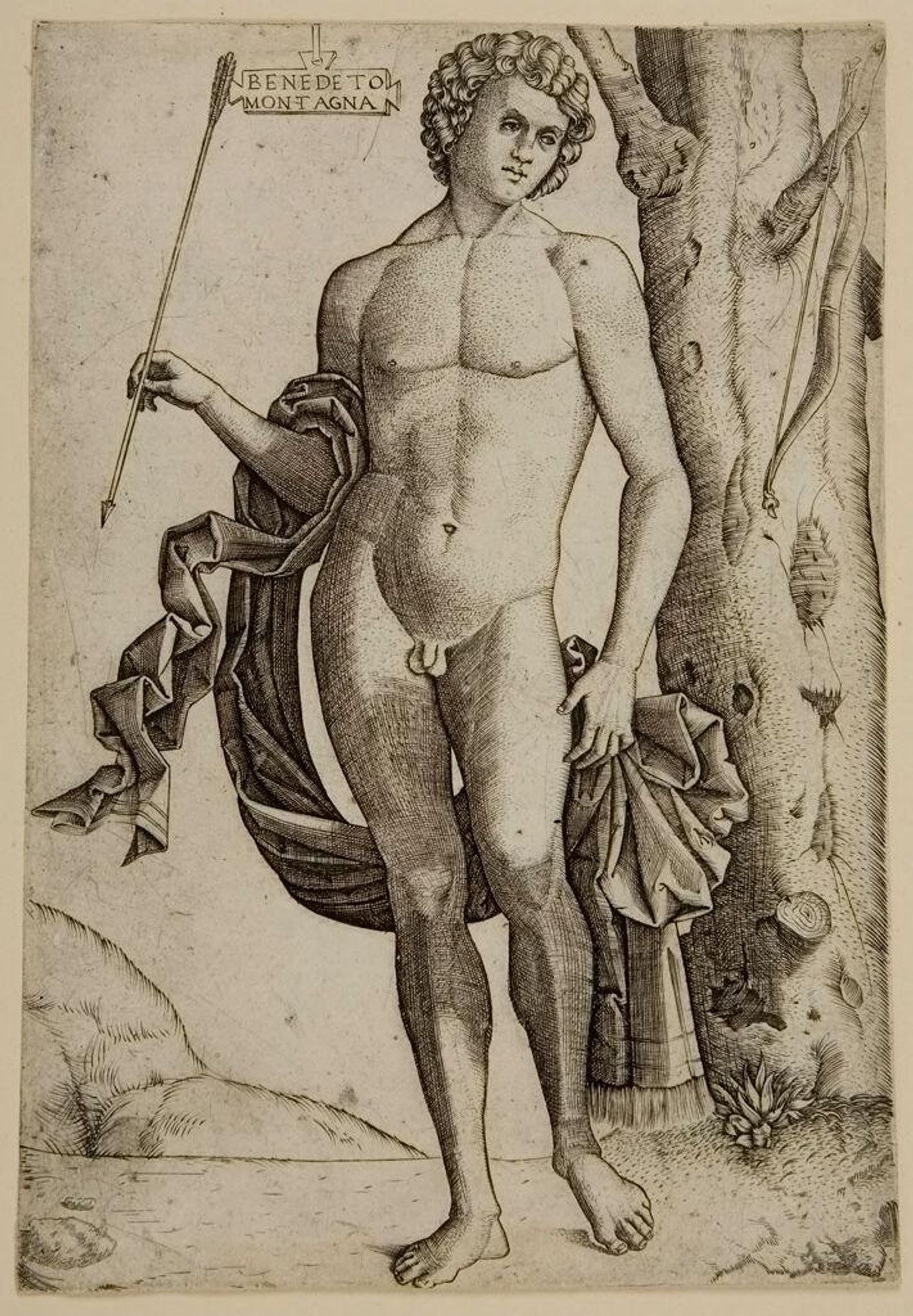 Man with an Arrow by Benedetto Montagna