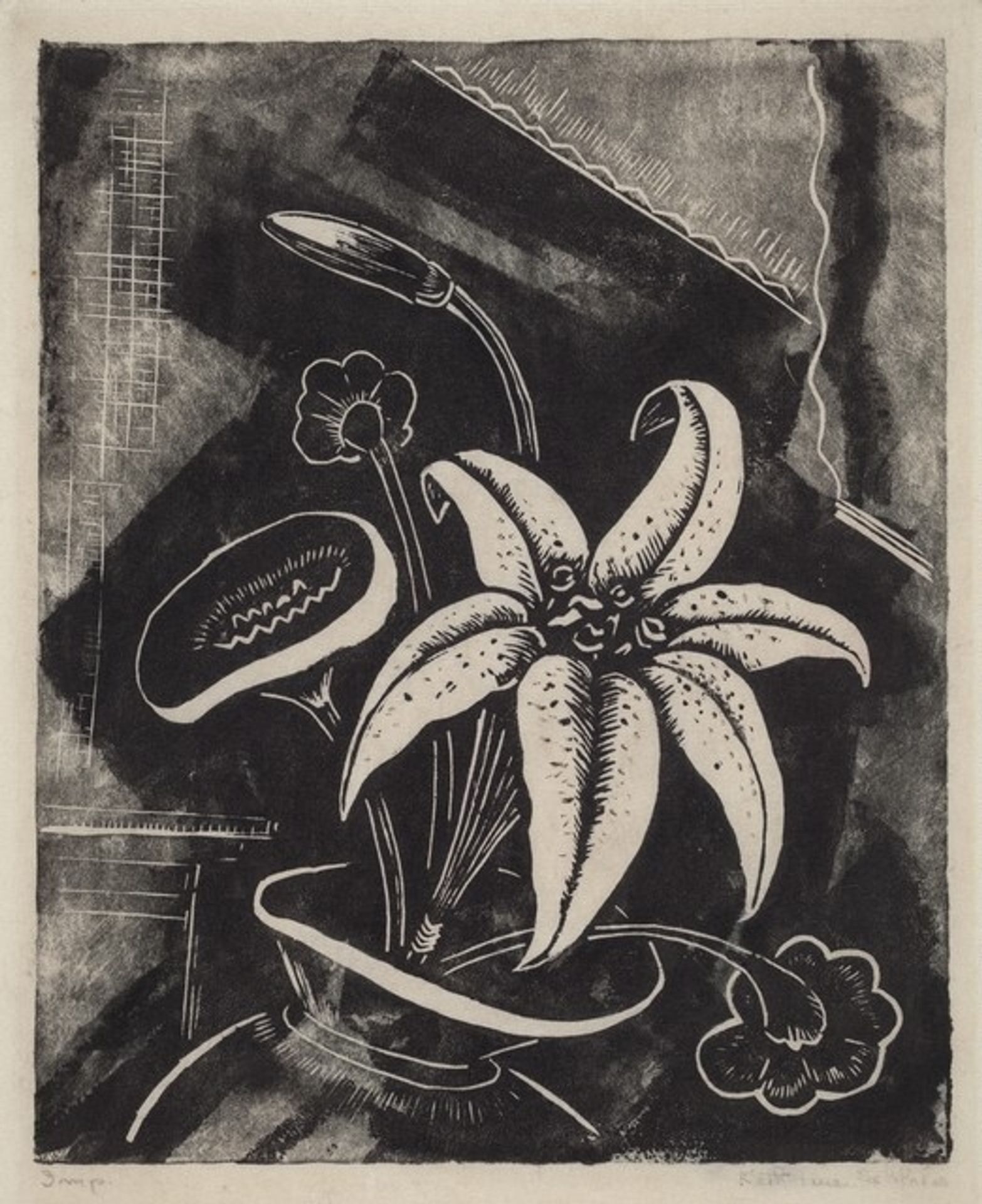 Lily by Katharine Schlater