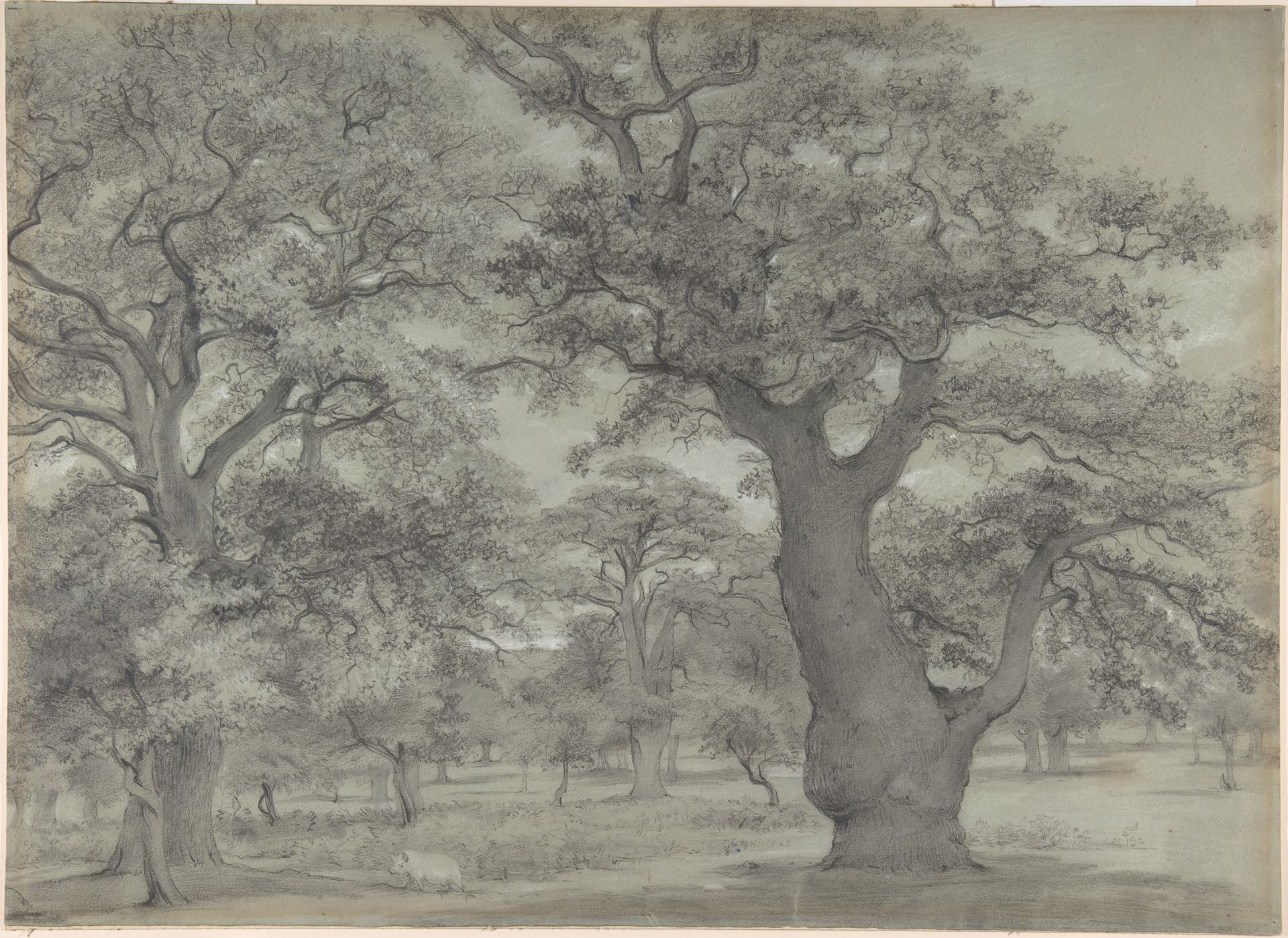 Oak Forest with a Pig by Anonymous