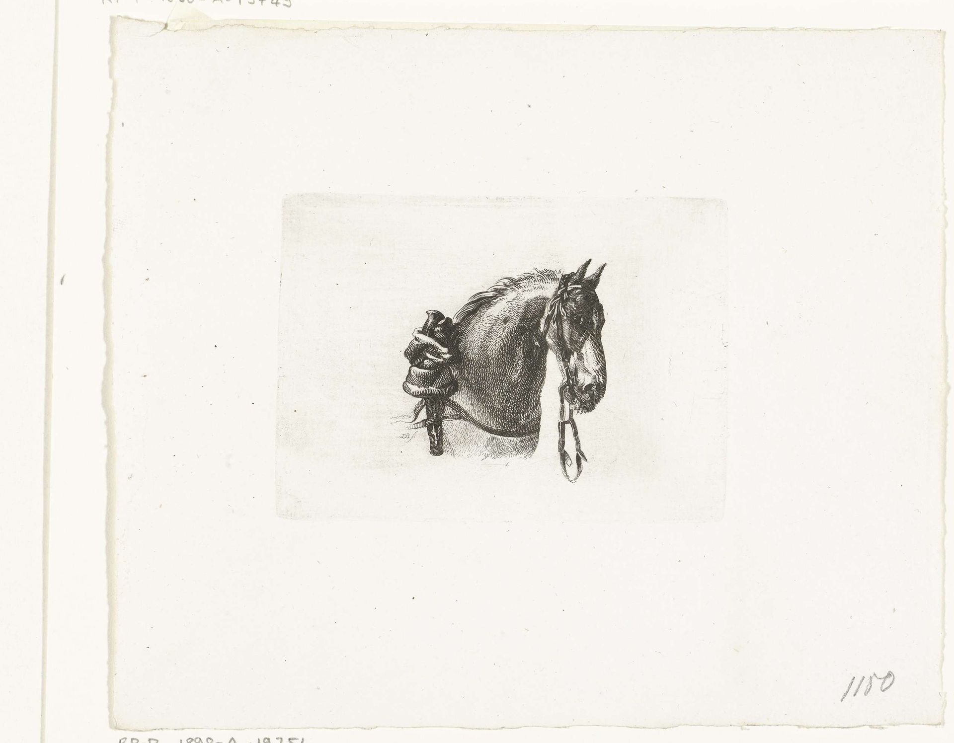 Paardenhoofd, naar rechts by Joannes Bemme