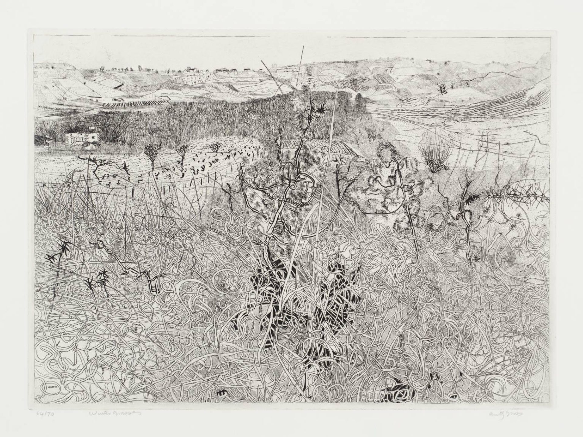 Winter Grasses by Anthony Gross