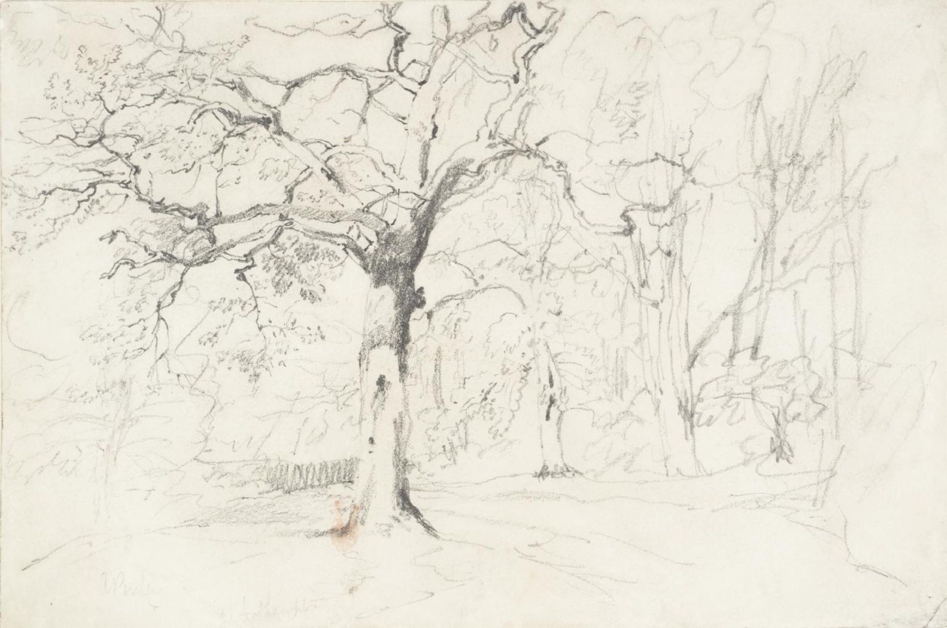 An Oak Wood near Southampton by Aaron Edwin Penley