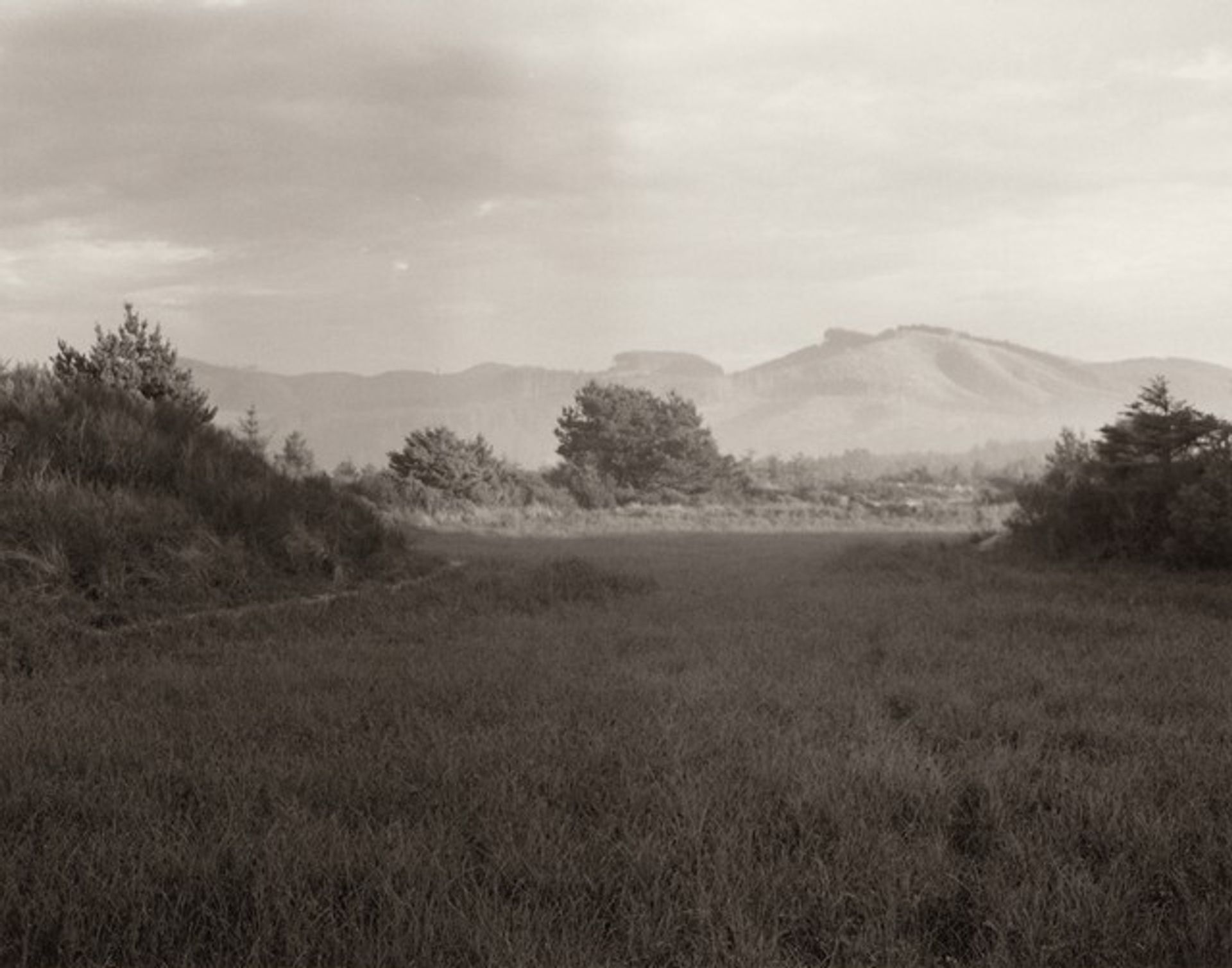 The Interior of the Spit by Robert Adams