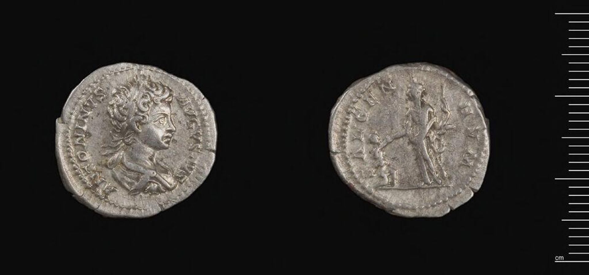 Denarius of Septimius Severus by Septimius Severus