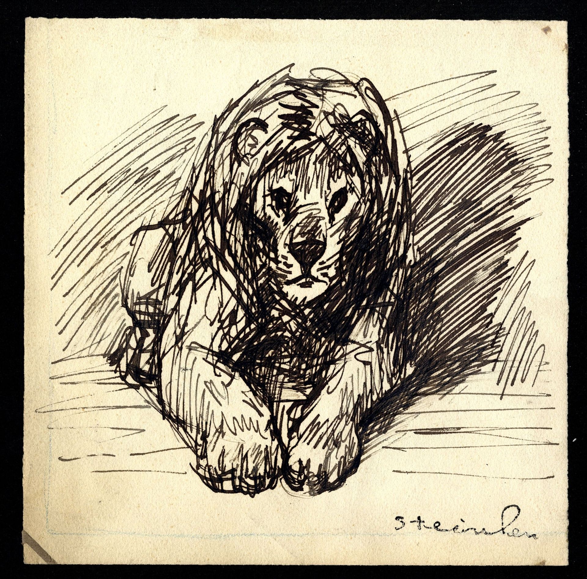 Lion by Théophile Alexandre Steinlen