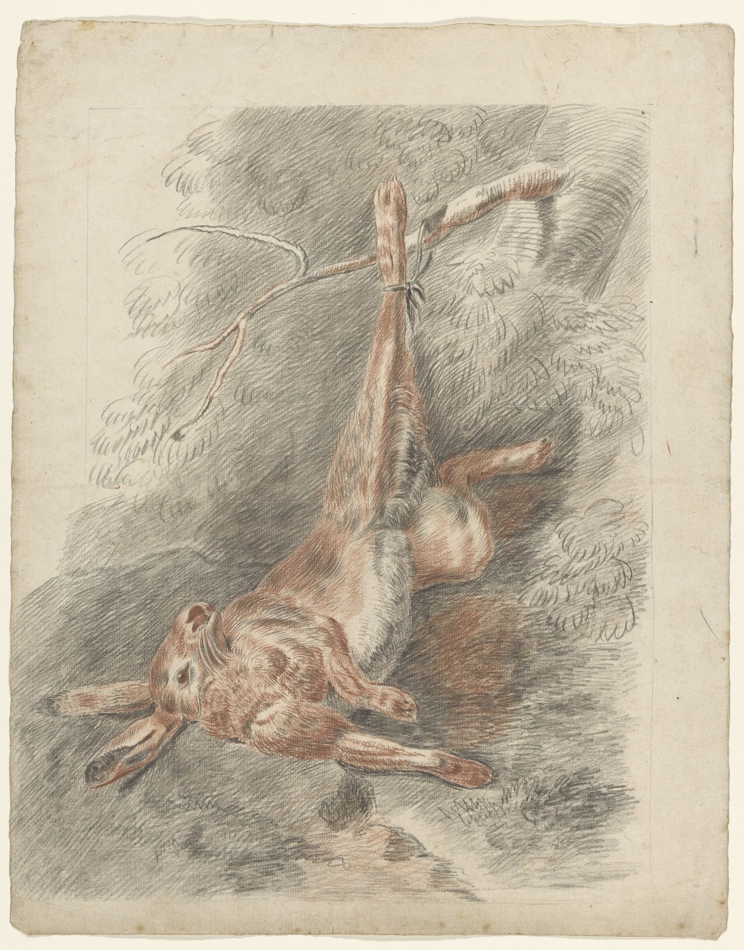 Dode haas, hangend aan een poot by Johannes Tavenraat