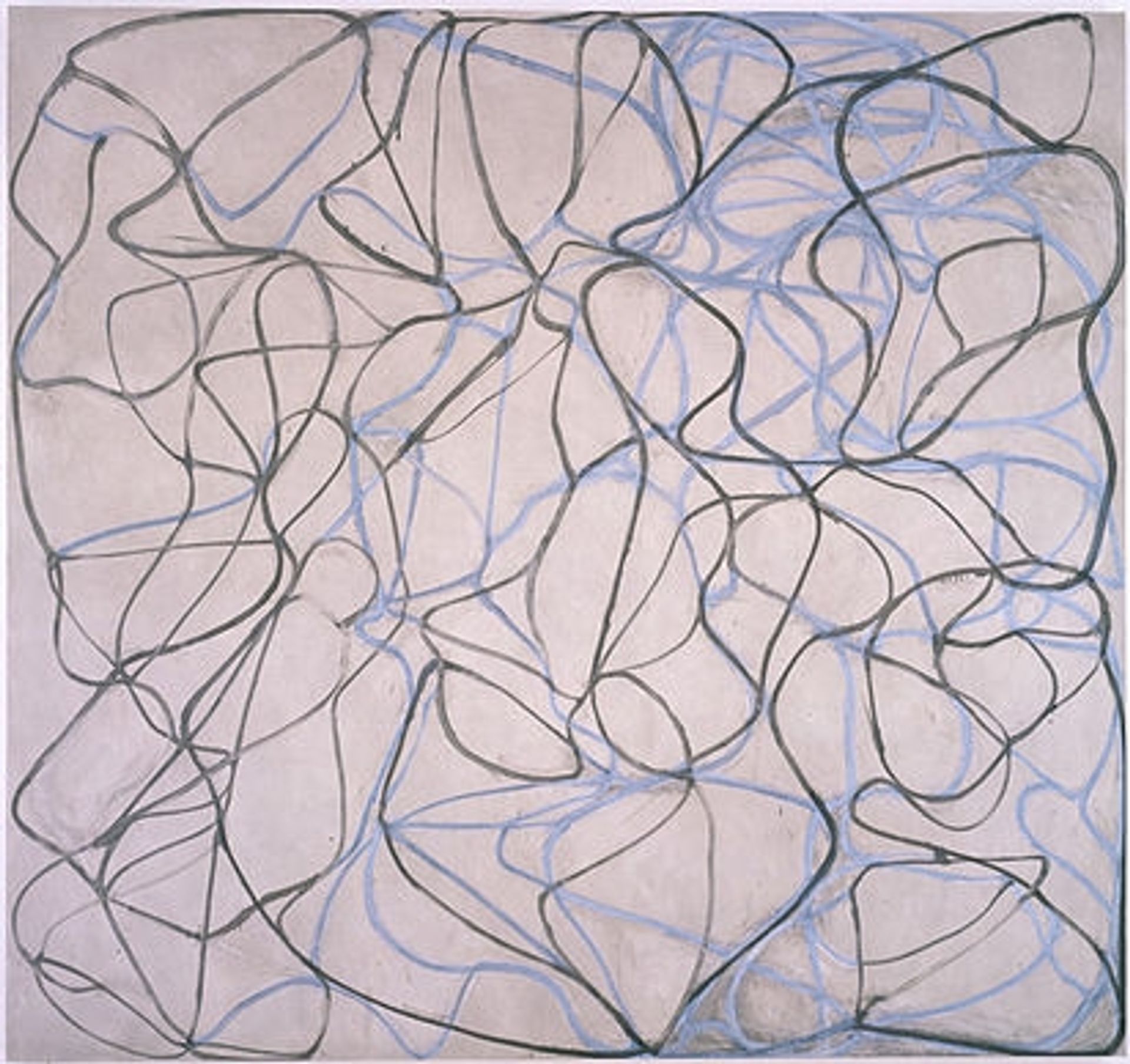 Vine by Brice Marden