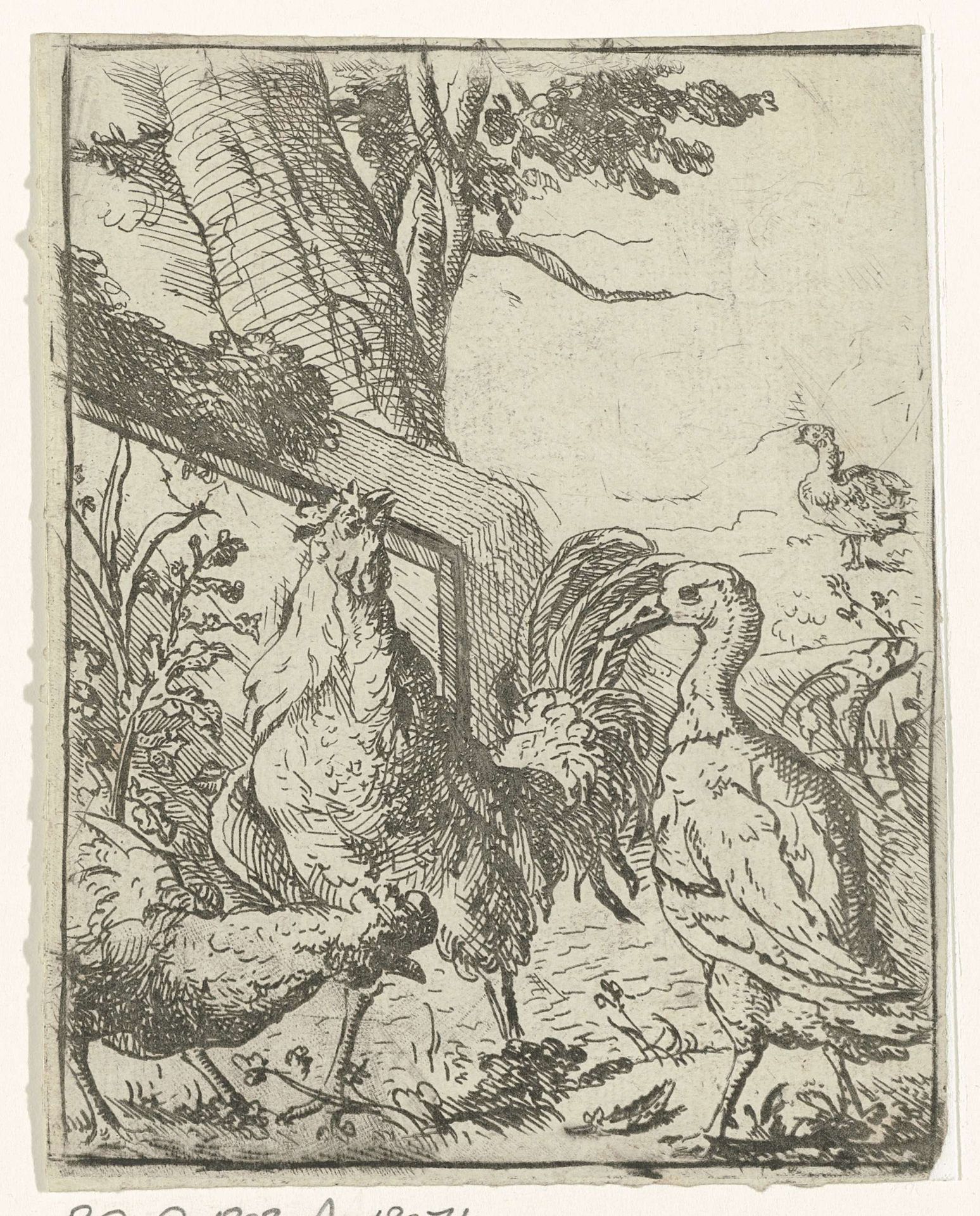 Gevogelte in een landschap by Anonymous