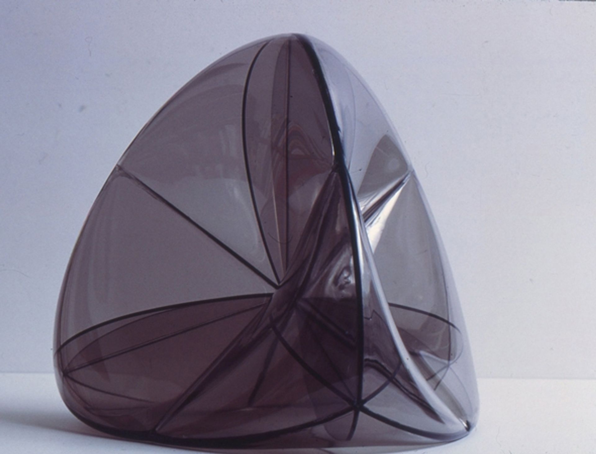 Steiner Surface by Ruth Vollmer