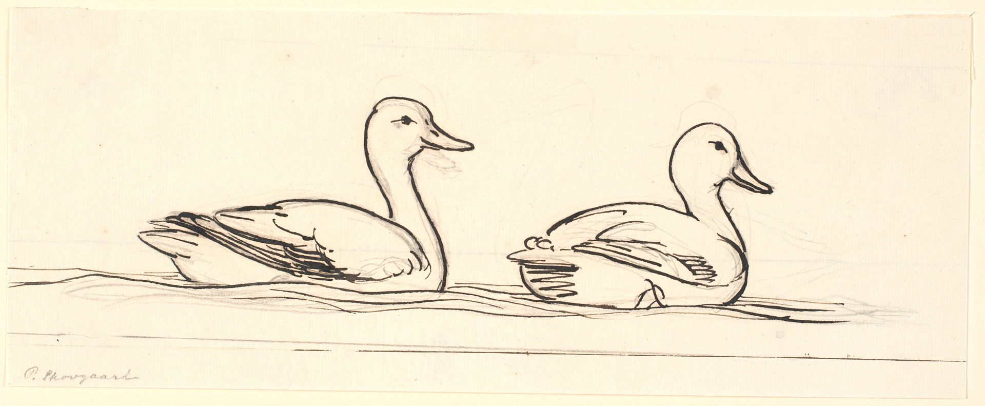To ænder. Dekorativt udkast. by P.C. Skovgaard