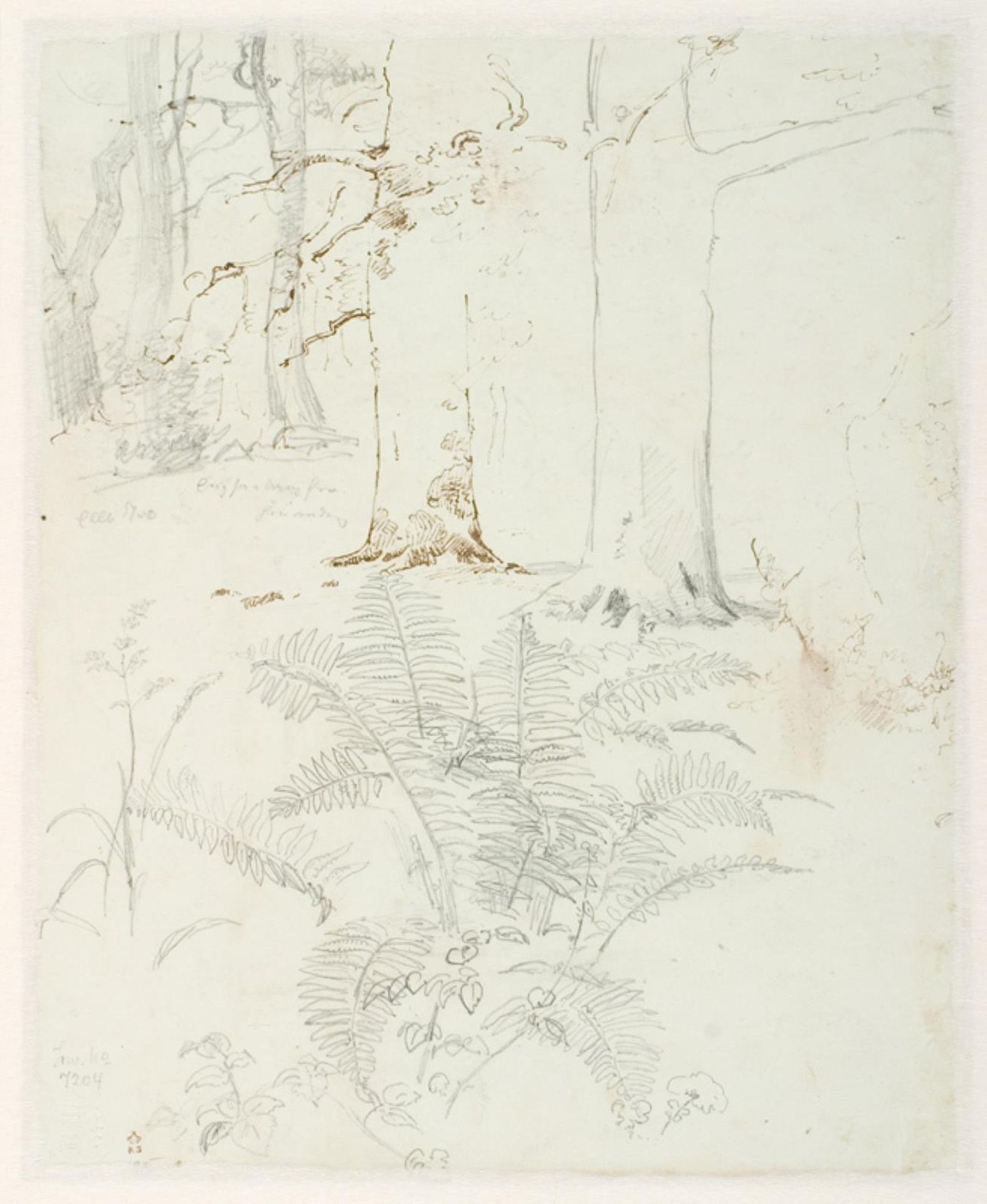 Studier af træstammer og planter by Dankvart Dreyer