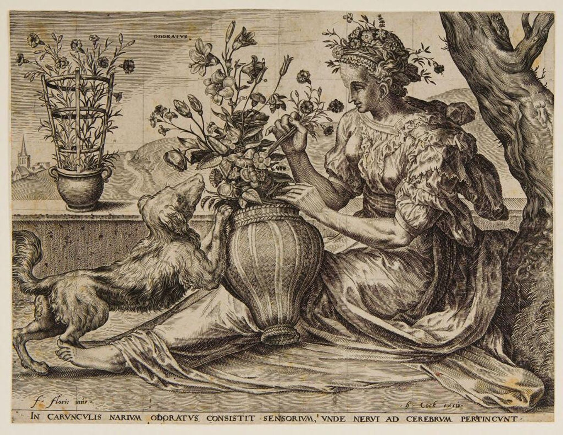 Smell by Cornelis Cort