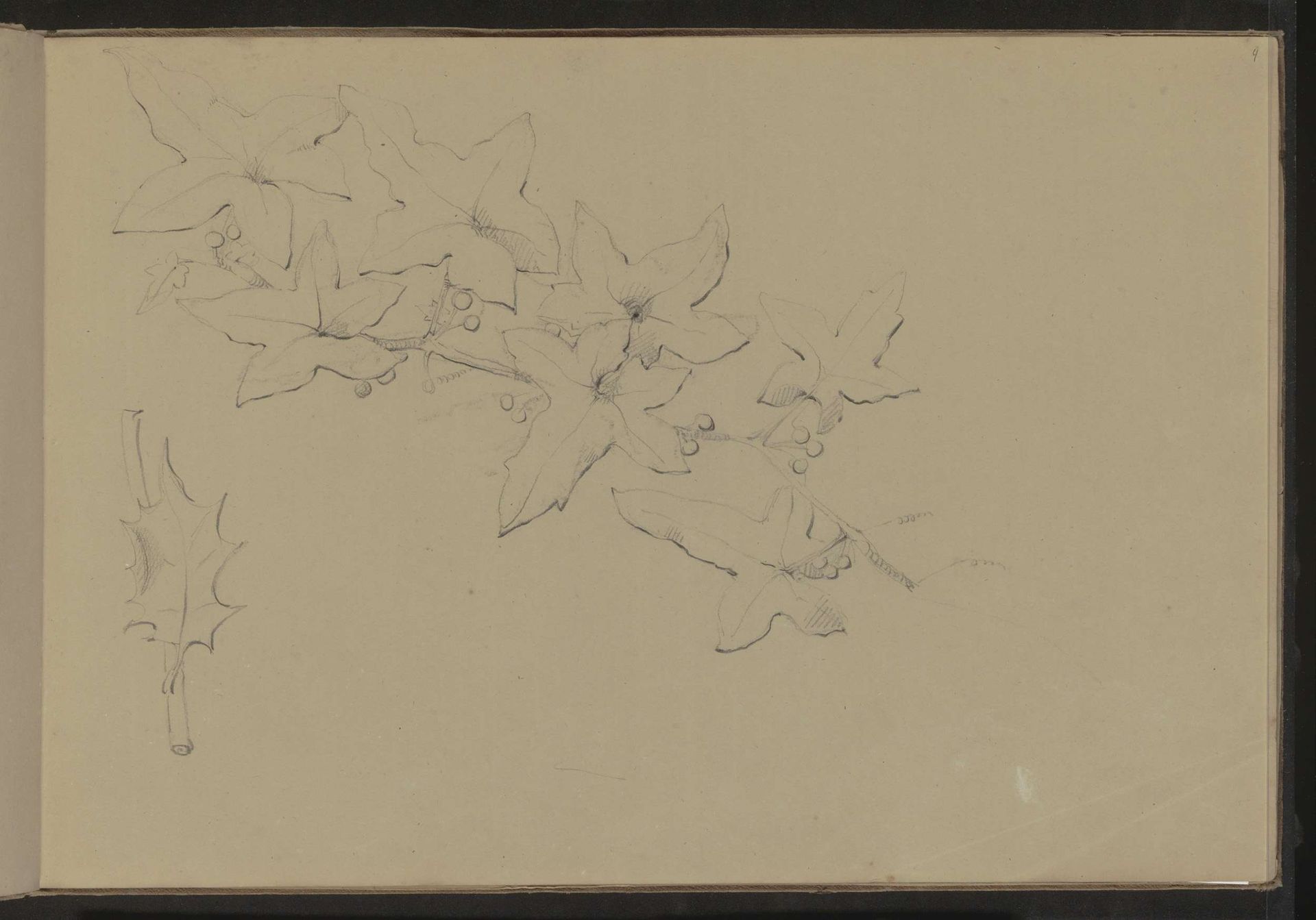 Tak met bladeren met bessen by Pierre Joseph Hubert Cuypers