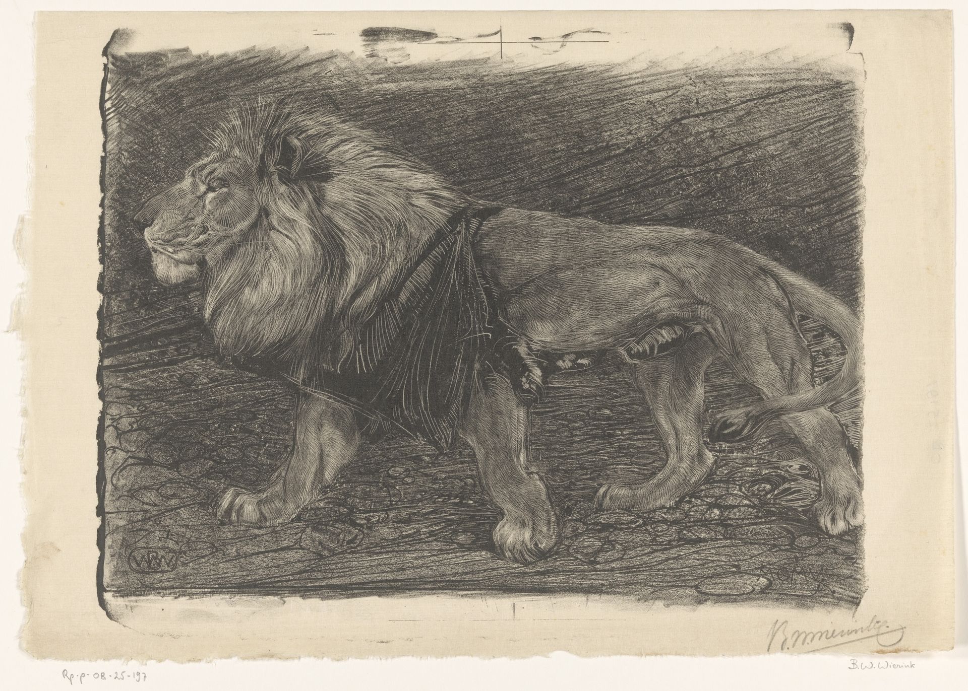 Lopende leeuw by Bernard Willem Wierink