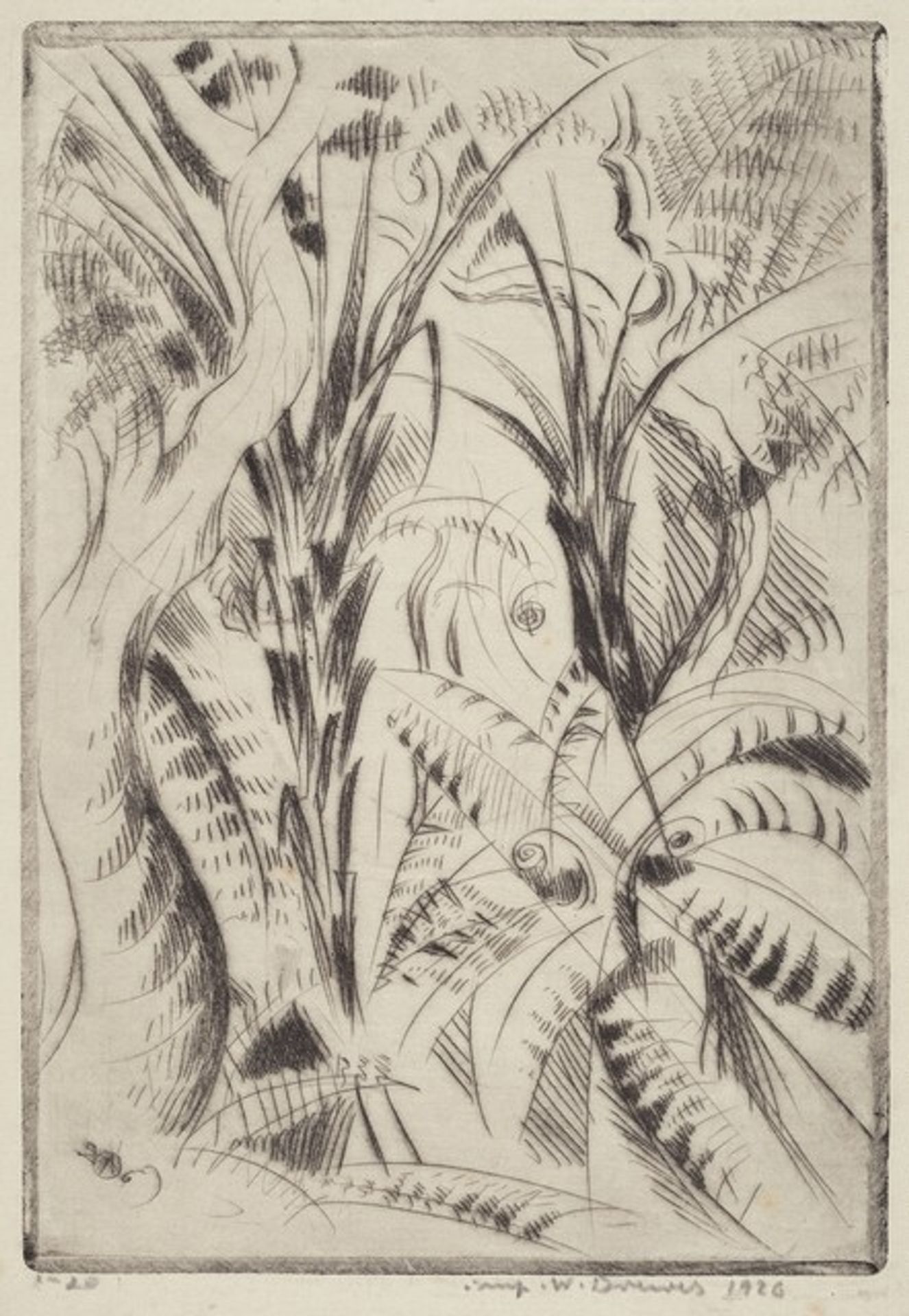Fern Trees II by Werner Drewes
