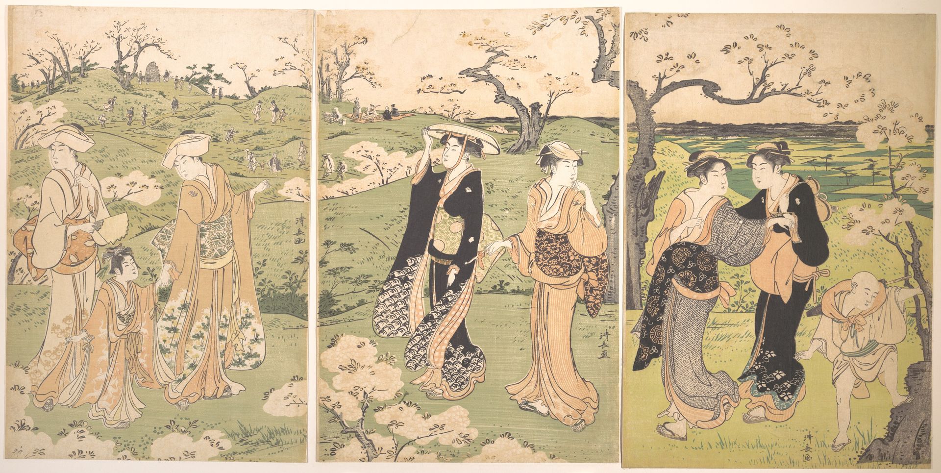 Young Ladies Viewing Cherry–blossoms at Asukayama by Torii Kiyonaga