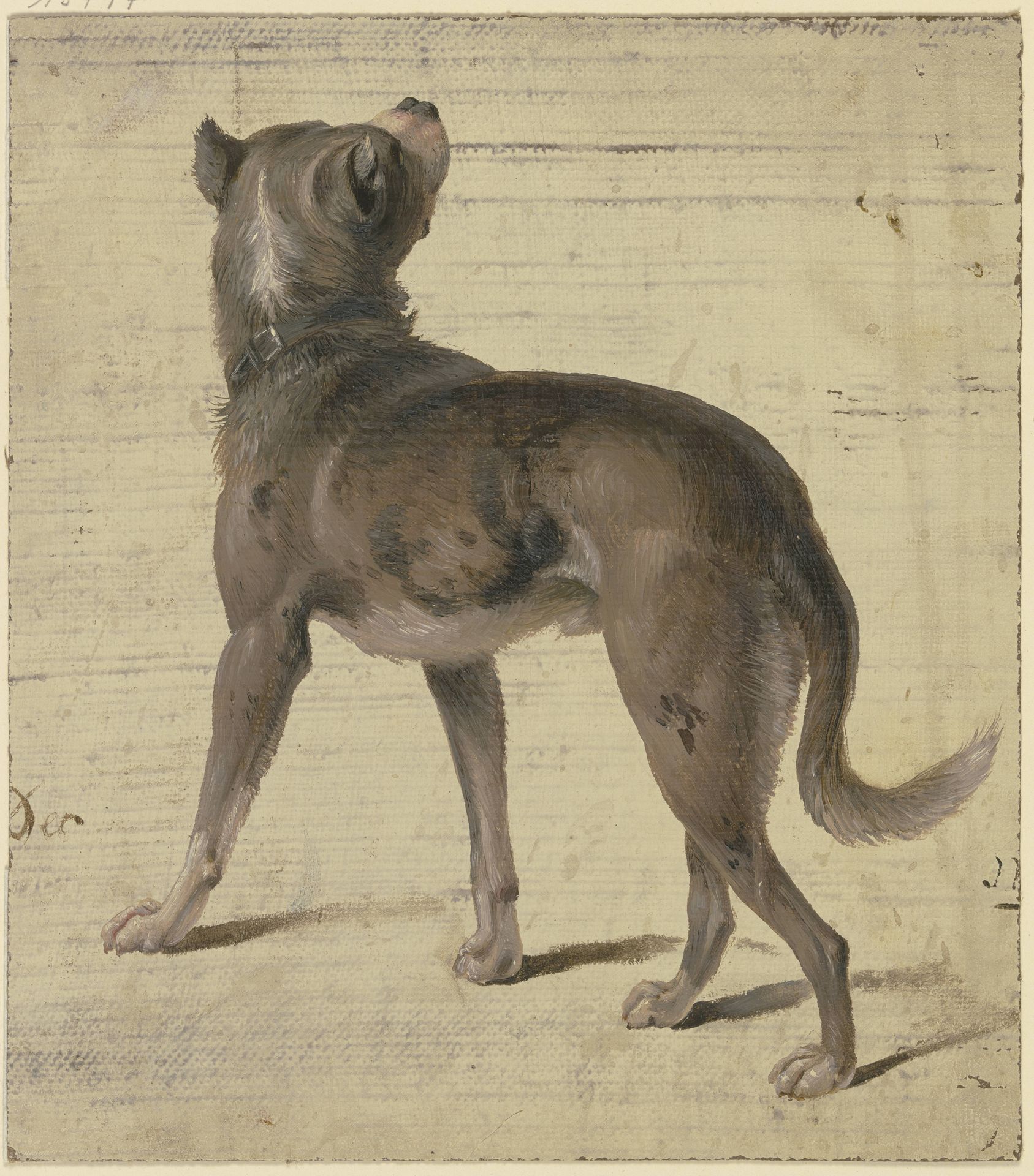 Dog by Philipp Rumpf
