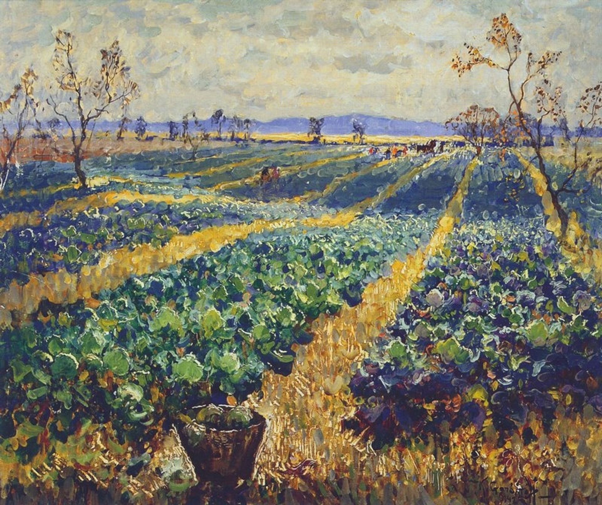 Cabbage Field by Konstantin Gorbatov