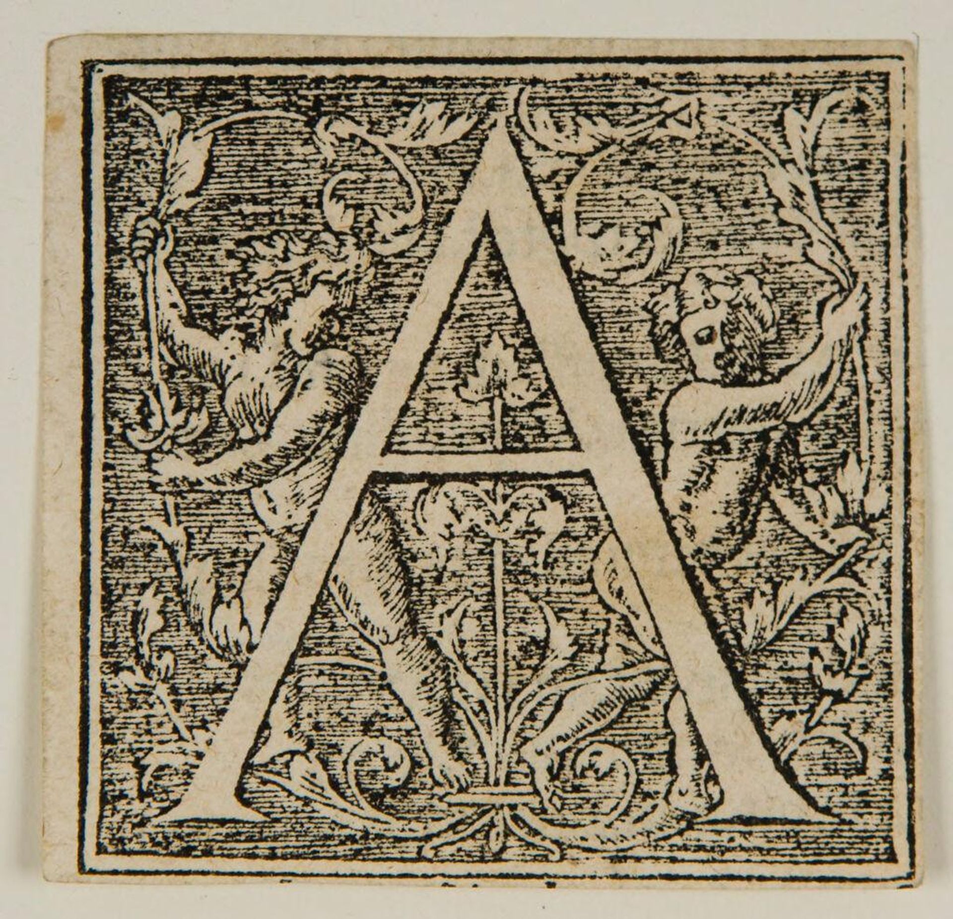 Letter C by Anonymous
