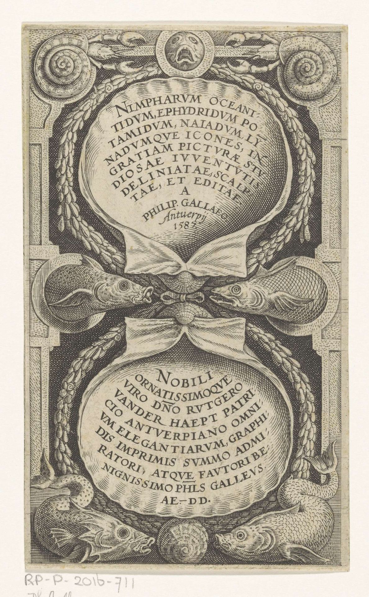 Schelpen en vissen by Philips Galle