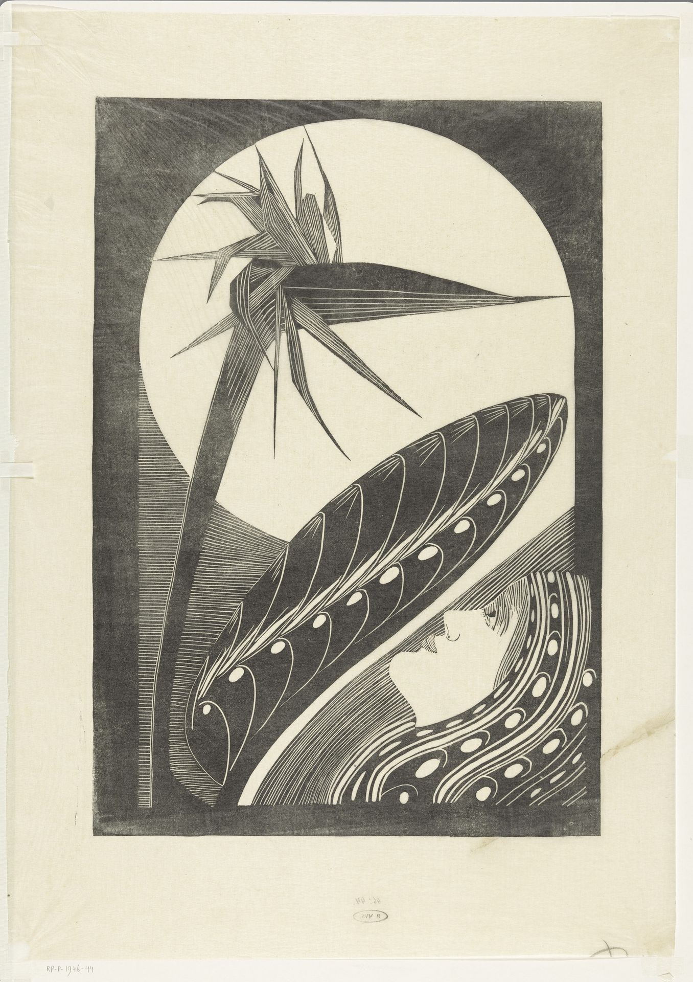 Uitgebloeide strelitzia by Samuel Jessurun de Mesquita