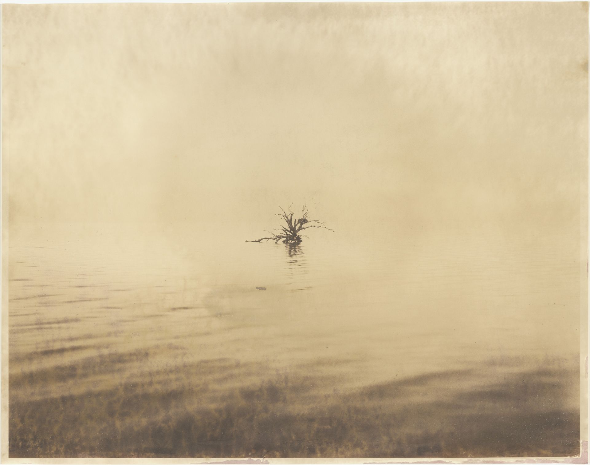 Salton Sea C1 by Matthew Brandt