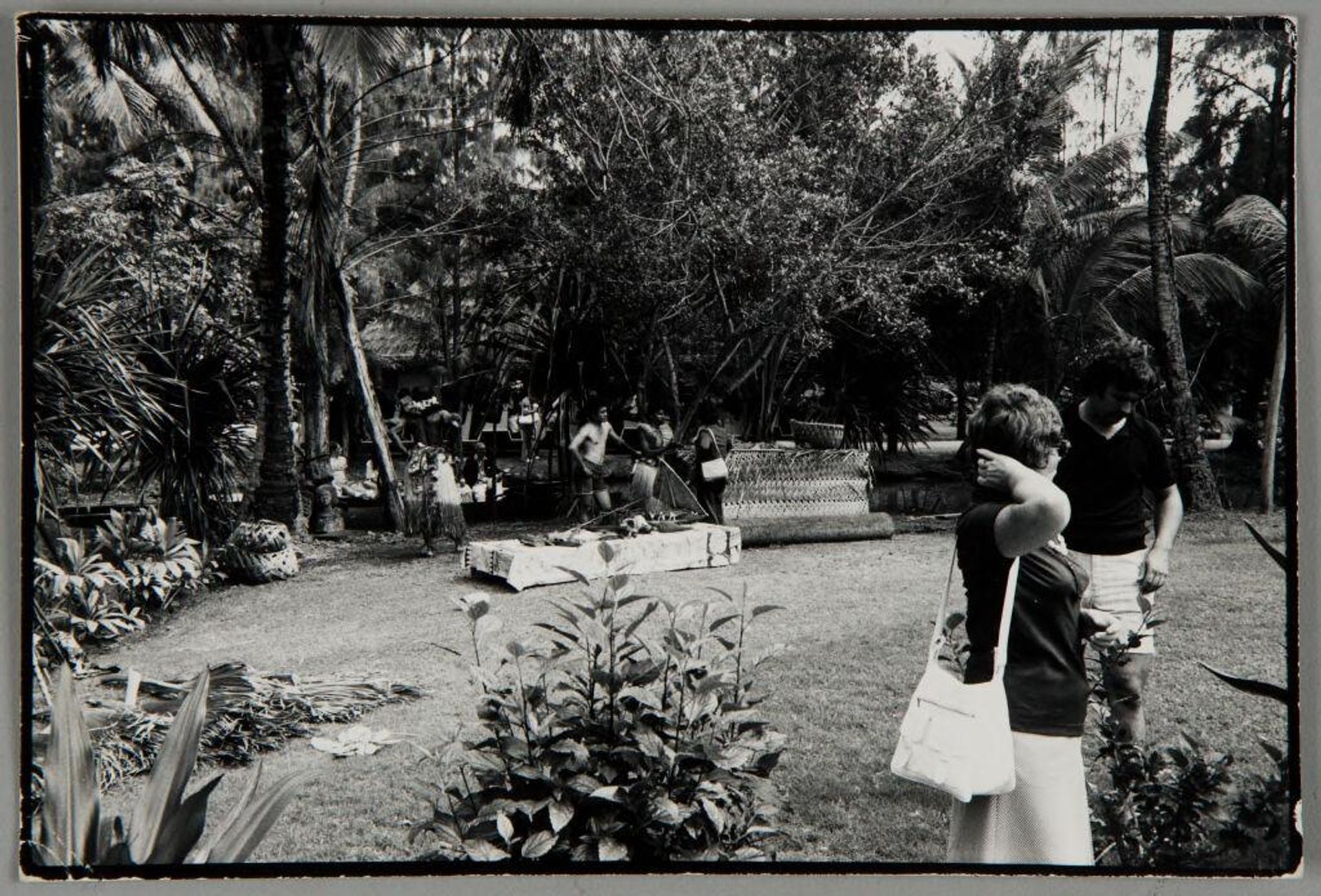 Untitled (Hawaii) by Bill Dane