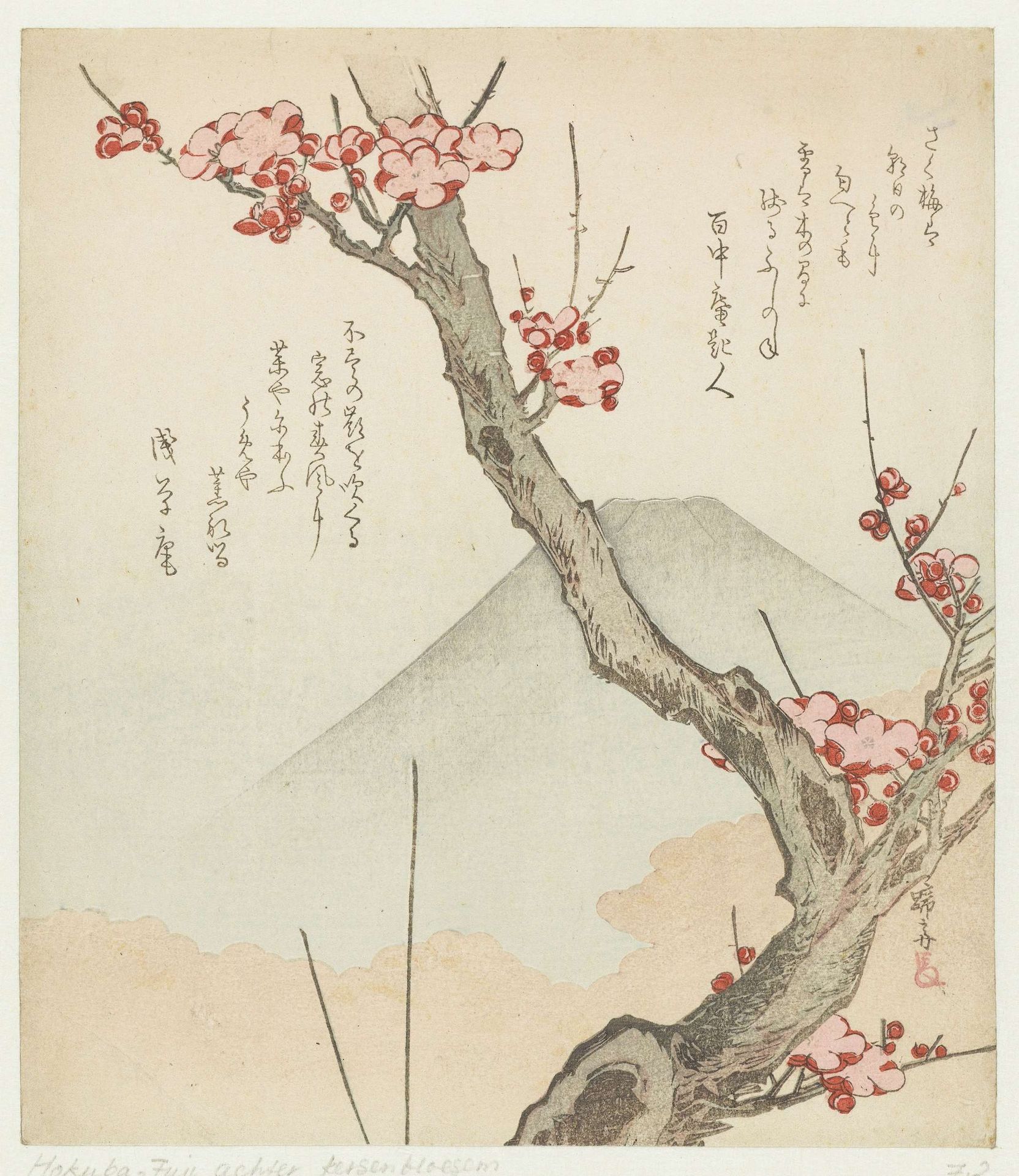 Mount Fuji and a Blossoming Plum by Teisai Hokuba 蹄斎北馬
