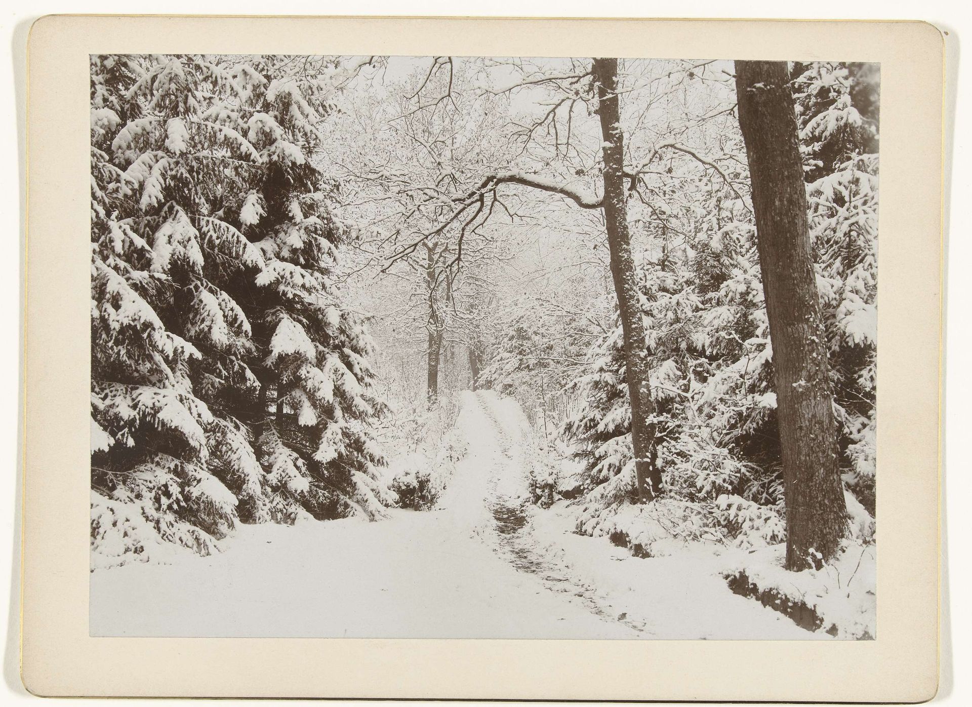 Besneeuwd boslandschap by Henry Pauw van Wieldrecht