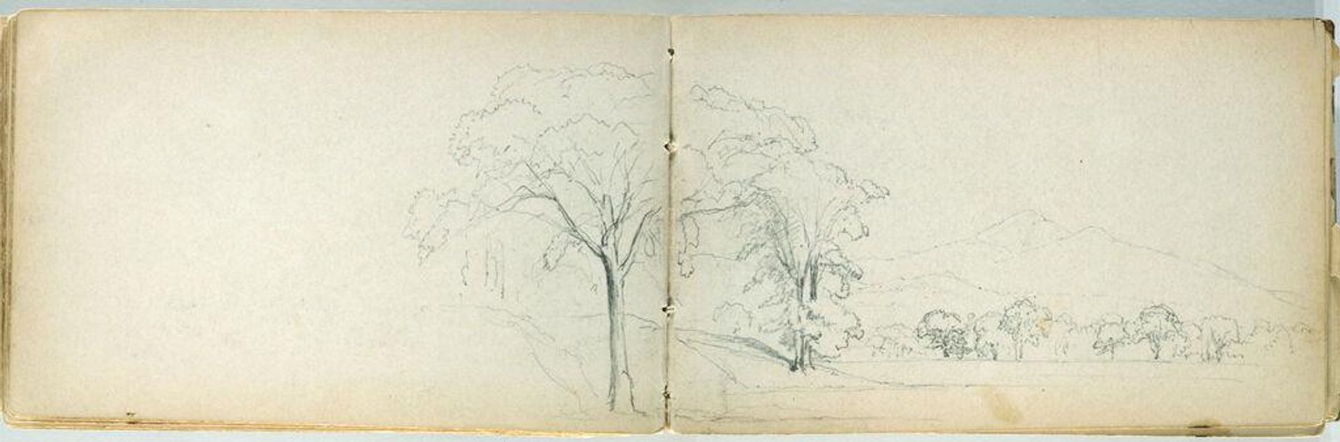 Partial Landscape with Trees; verso: Cattle in a Landscape by Benjamin Champney