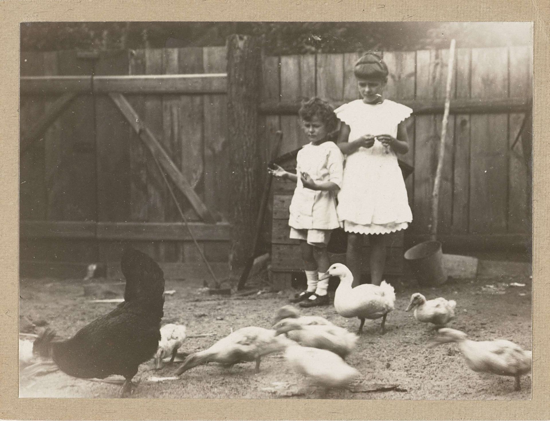 Marba en Eckart Titzenthaler, kinderen van de fotograaf, op een erf met kippen en eenden by Waldemar Titzenthaler