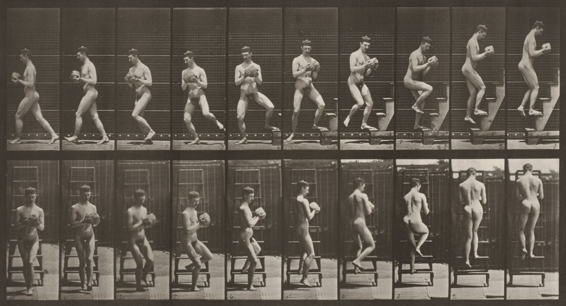 Plate Number 151. Descending a stepladder and turning around with a rock in hands by Eadweard Muybridge