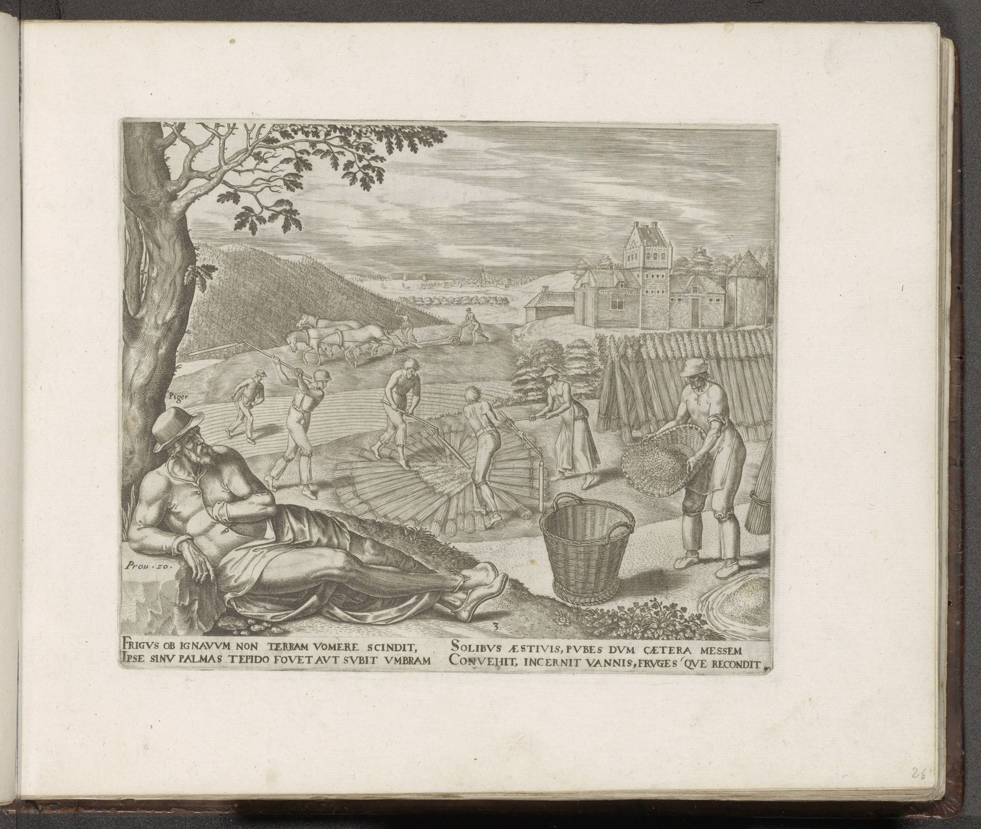 De luiaard ligt onder een boom tijdens het oogsten by Philips Galle